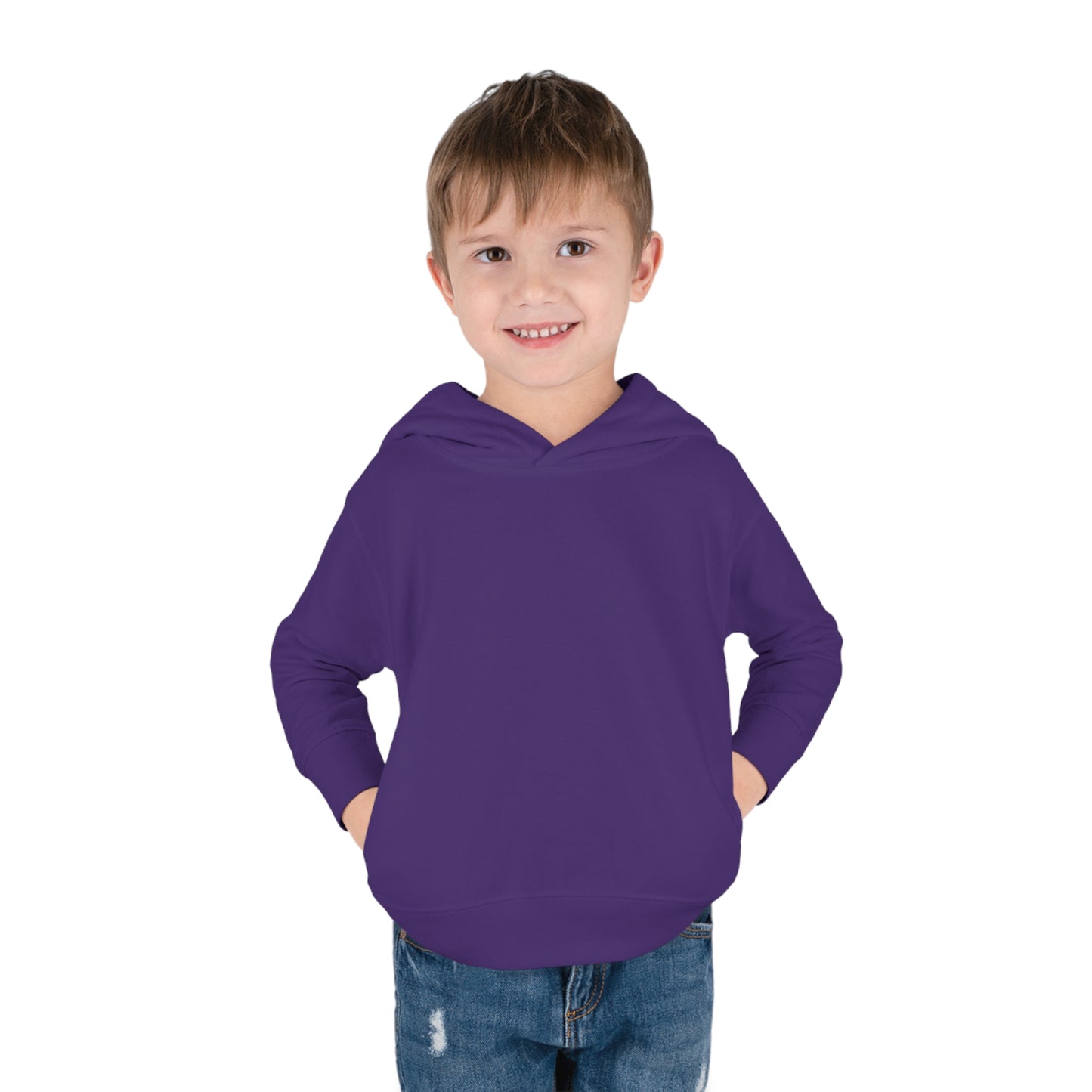 Link's Martial Arts Toddler Pullover Fleece Logo Hoodie