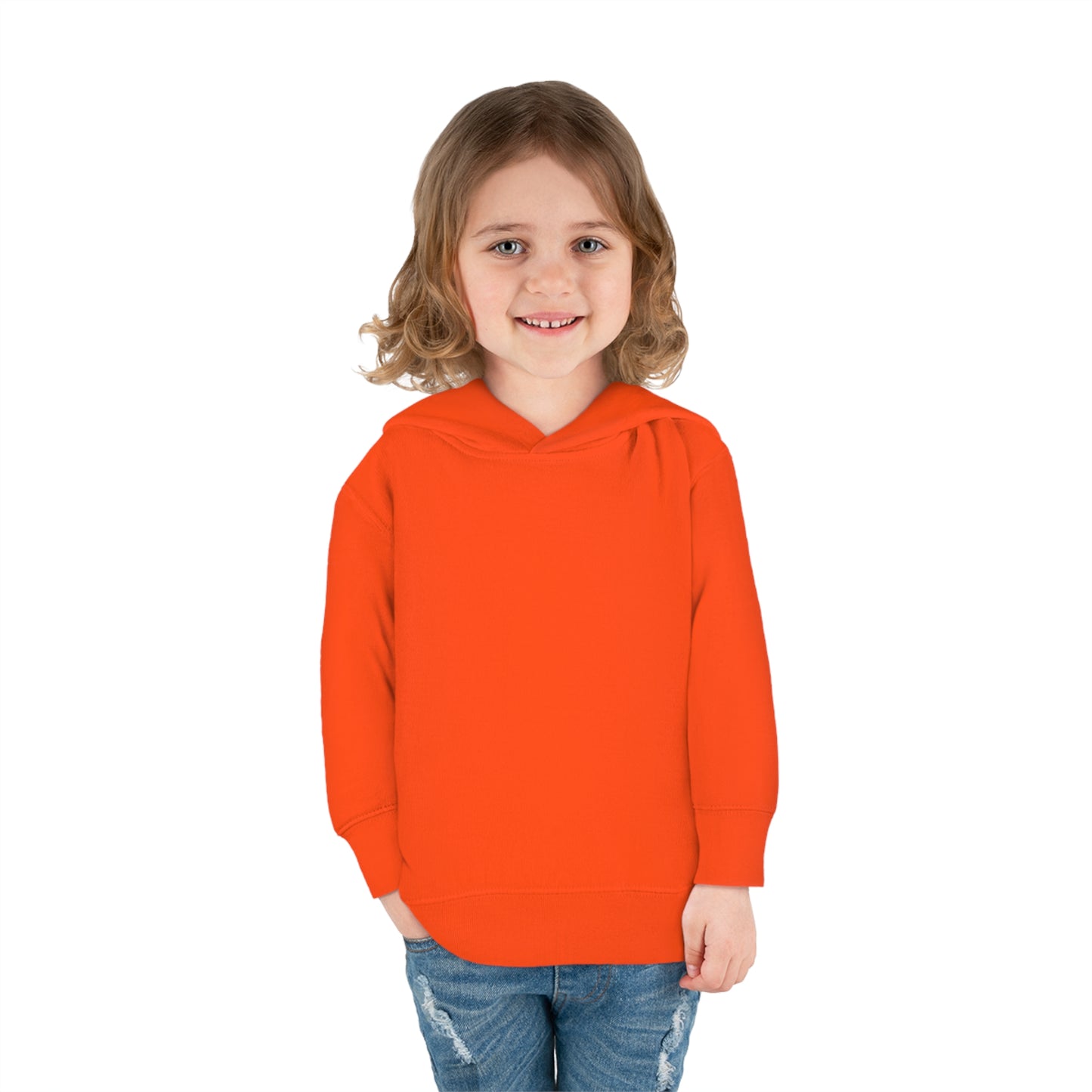 Link's Martial Arts Toddler Pullover Fleece Logo Hoodie