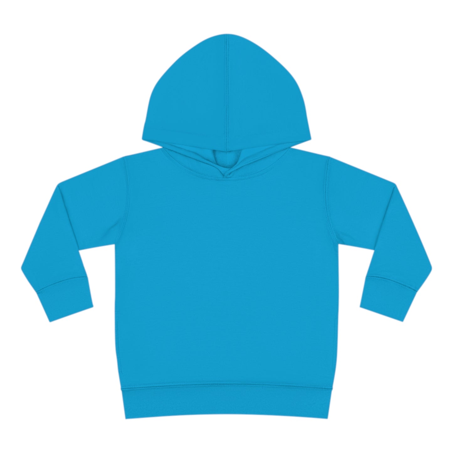 Link's Martial Arts Toddler Pullover Fleece Logo Hoodie