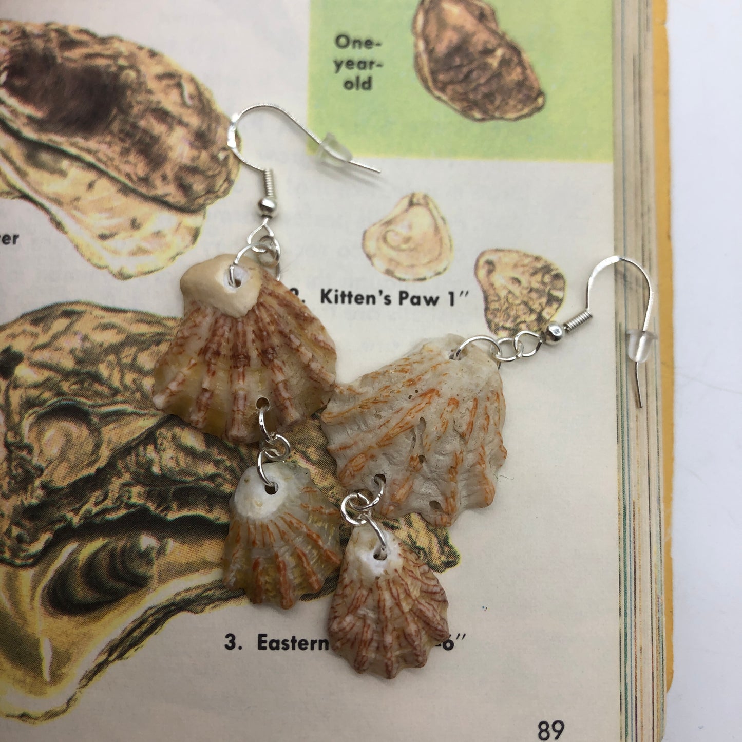Kittens Paw Artisan Made Earrings Handcrafted Sea Shell Dangle Earrings
