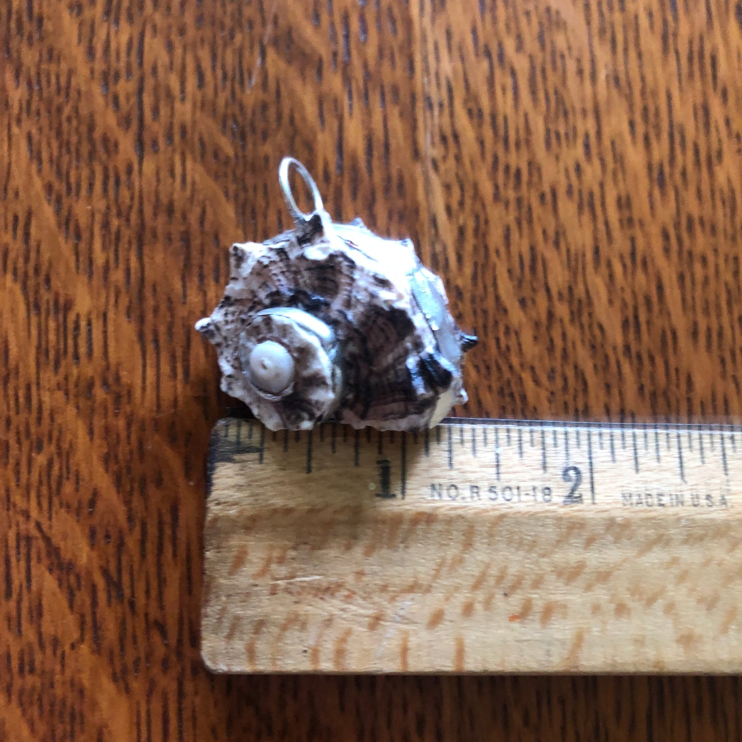 Sea Witch Artisan Made Pendent Handcrafted Sea Shell Necklace 1 in x 1.5 in