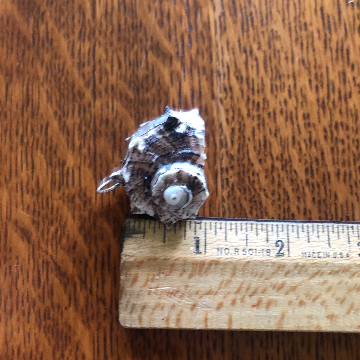 Sea Witch Artisan Made Pendant Handcrafted Sea Shell Necklace 1 in x 1.5 in