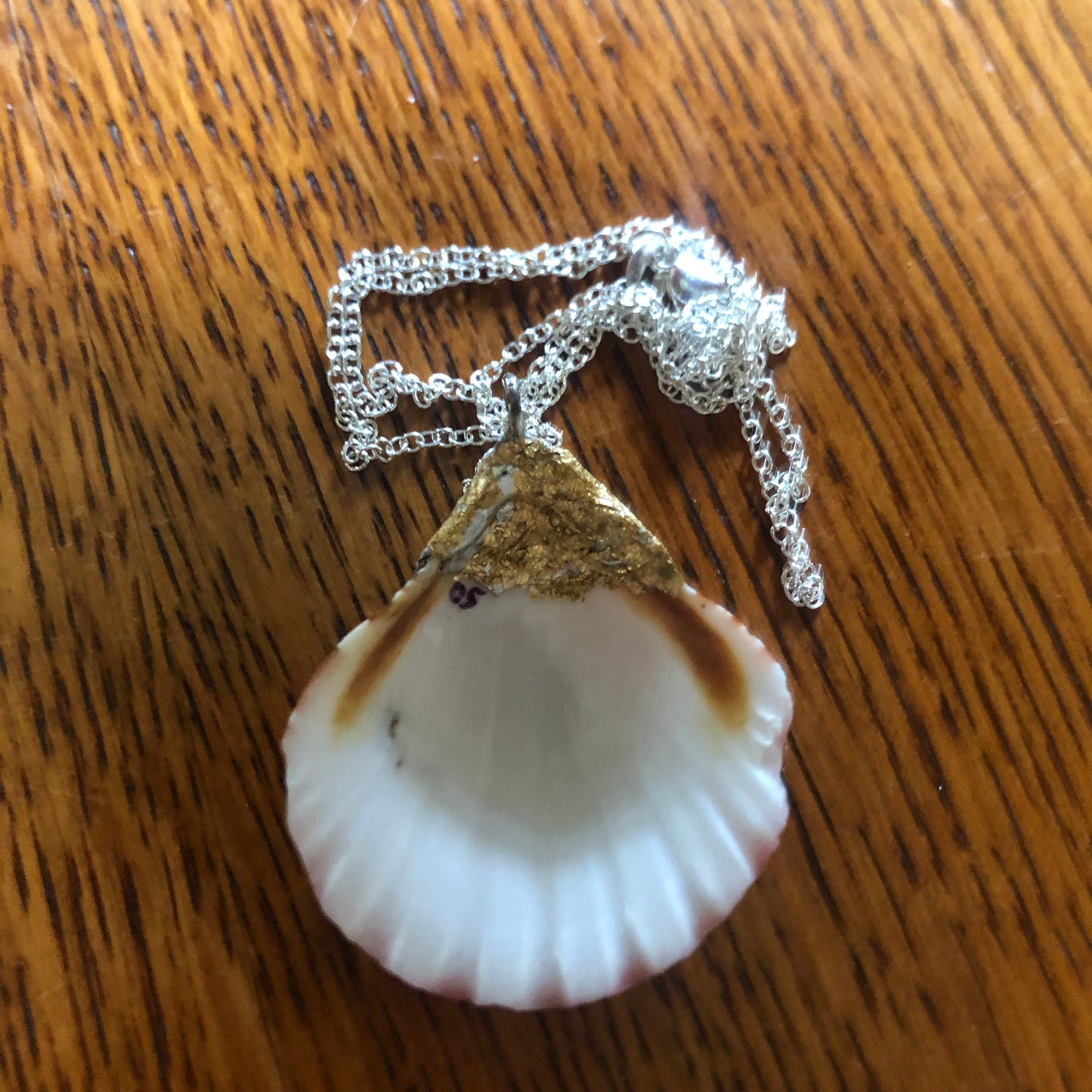 Pacific Pink Scallop Artisan Made Pendent Handcrafted Sea Shell Necklace 1.5in x 1.5in