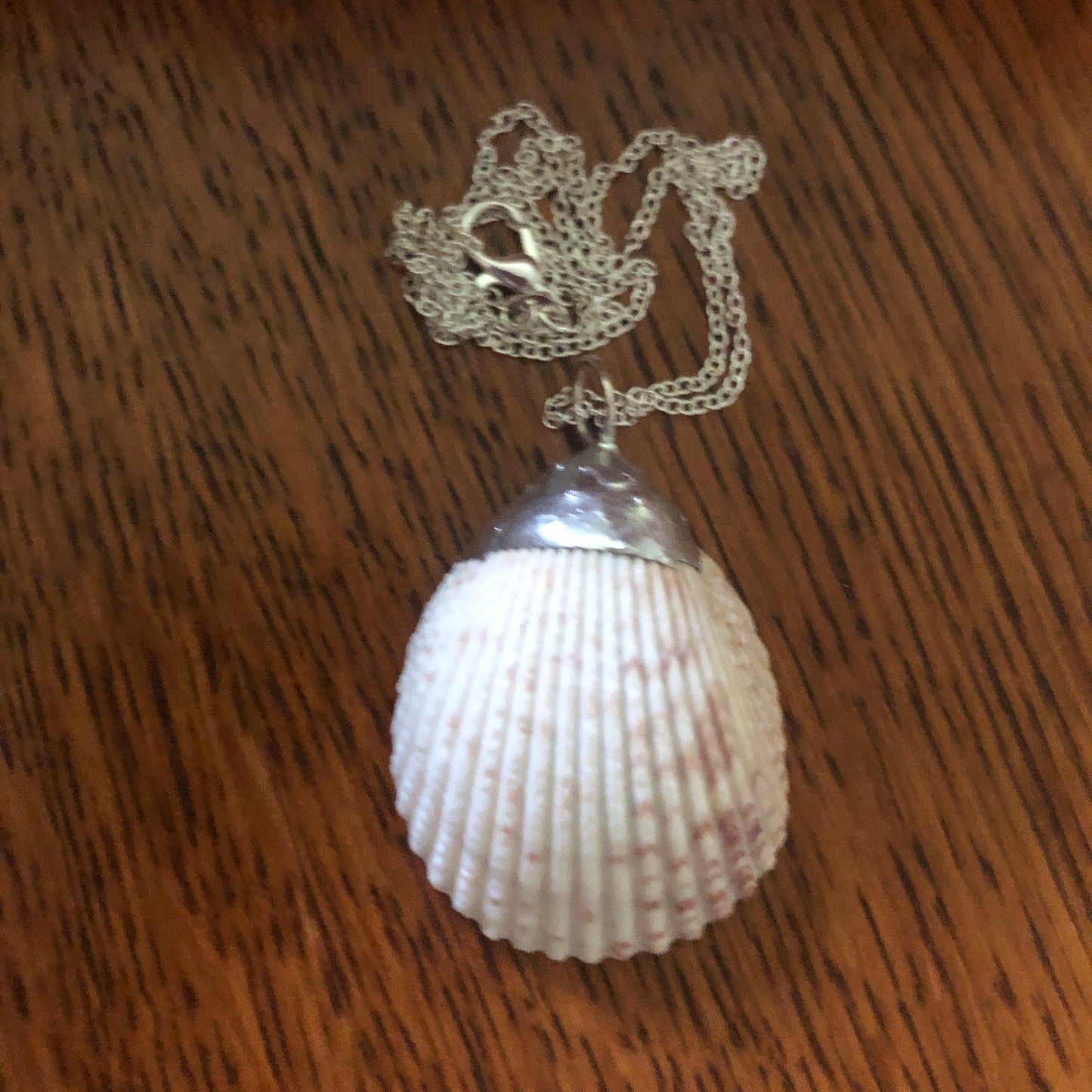 Scallop Shell Artisan Made Pendent Handcrafted Sea Shell Necklace 1 3/8in x 1 3/4in