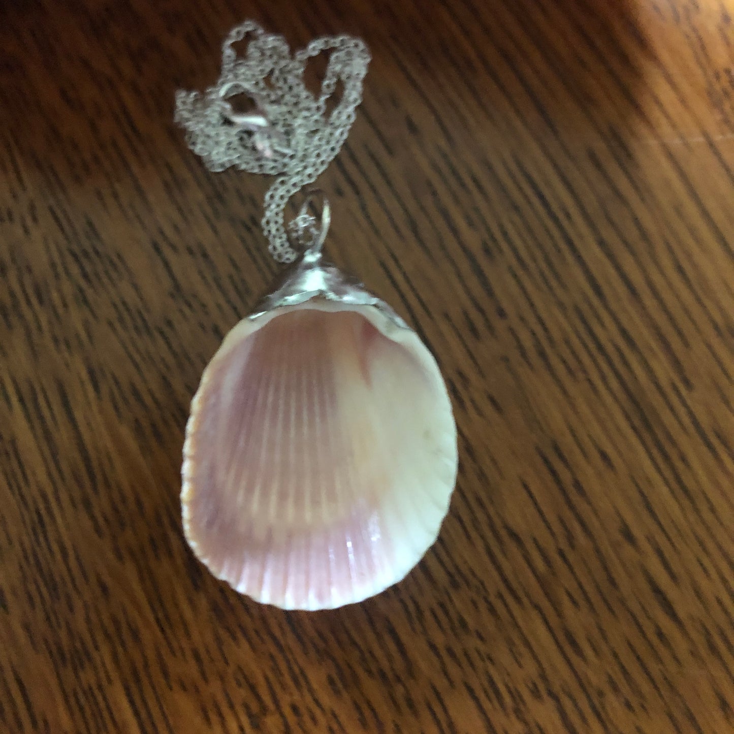 Scallop Shell Artisan Made Pendent Handcrafted Sea Shell Necklace 1 3/8in x 1 3/4in
