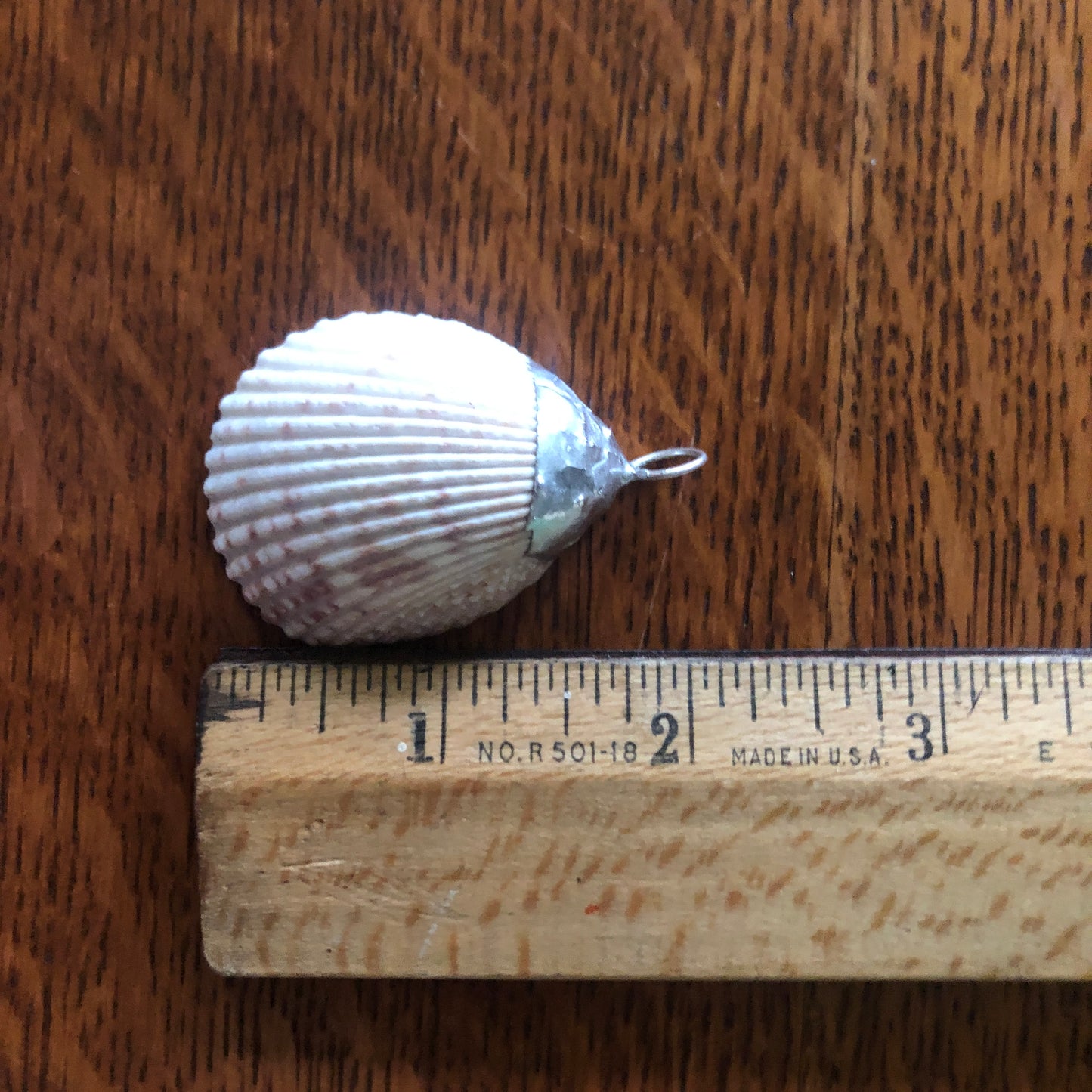 Scallop Shell Artisan Made Pendent Handcrafted Sea Shell Necklace 1 3/8in x 1 3/4in