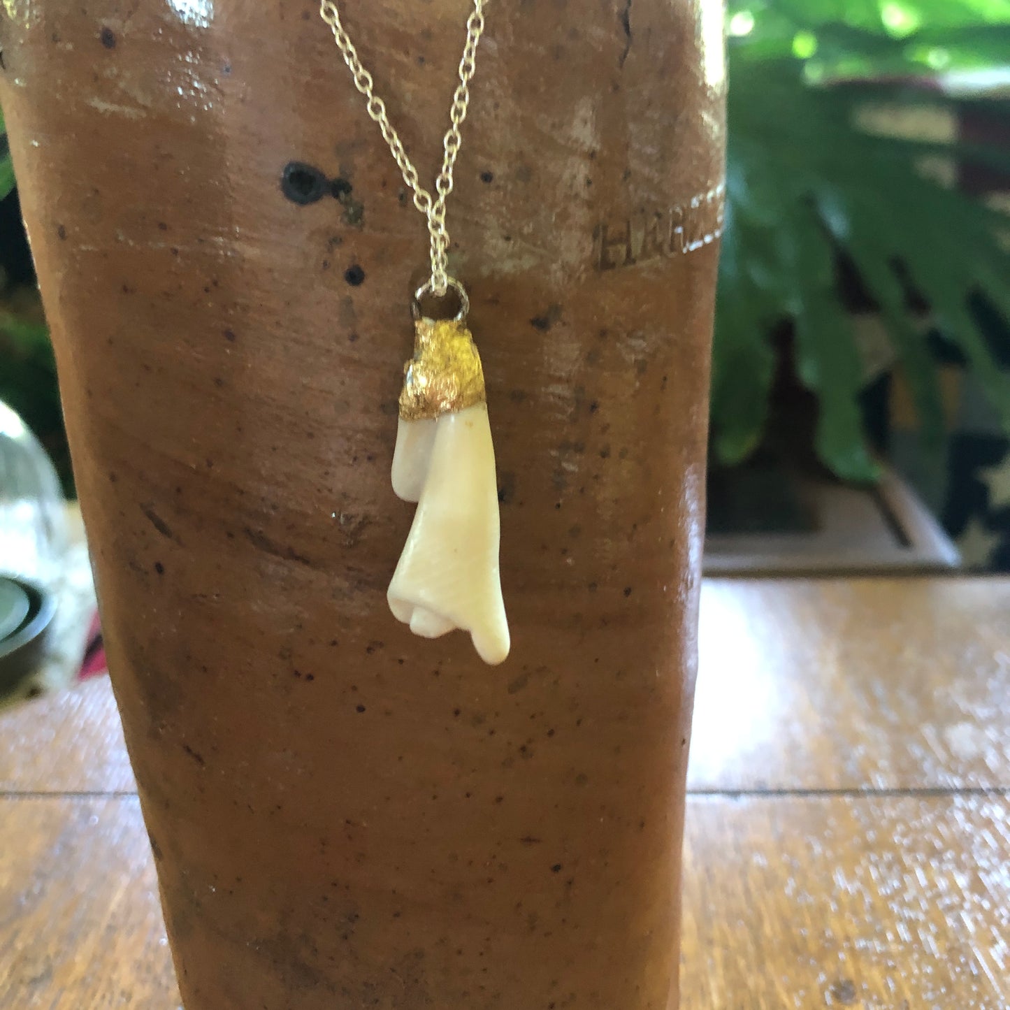 Sea Shell Spiral Artisan Made Pendent Handcrafted Sea Shell Necklace 1.25 in x 1/2 in