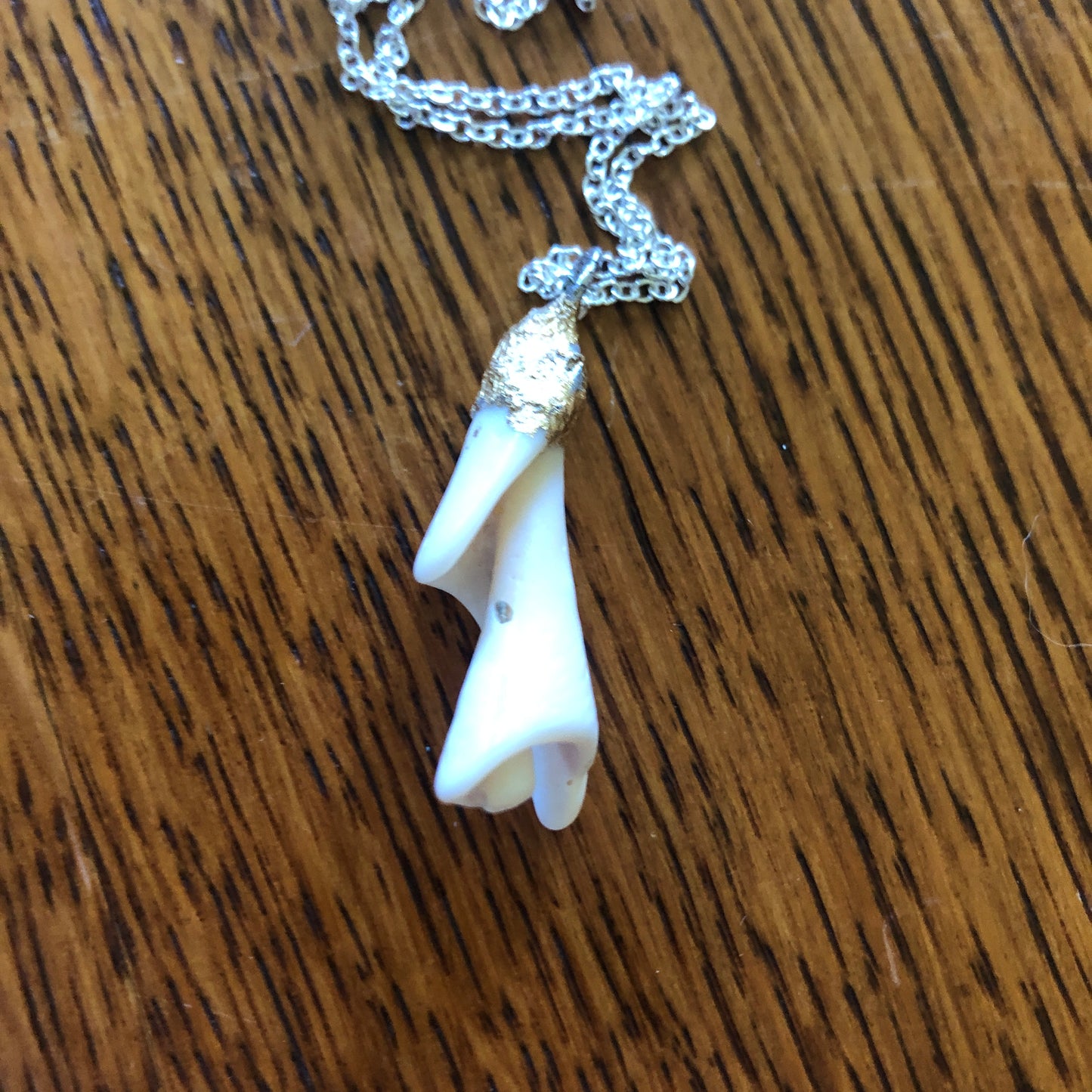 Sea Shell Spiral Artisan Made Pendent Handcrafted Sea Shell Necklace 1.25 in x 1/2 in