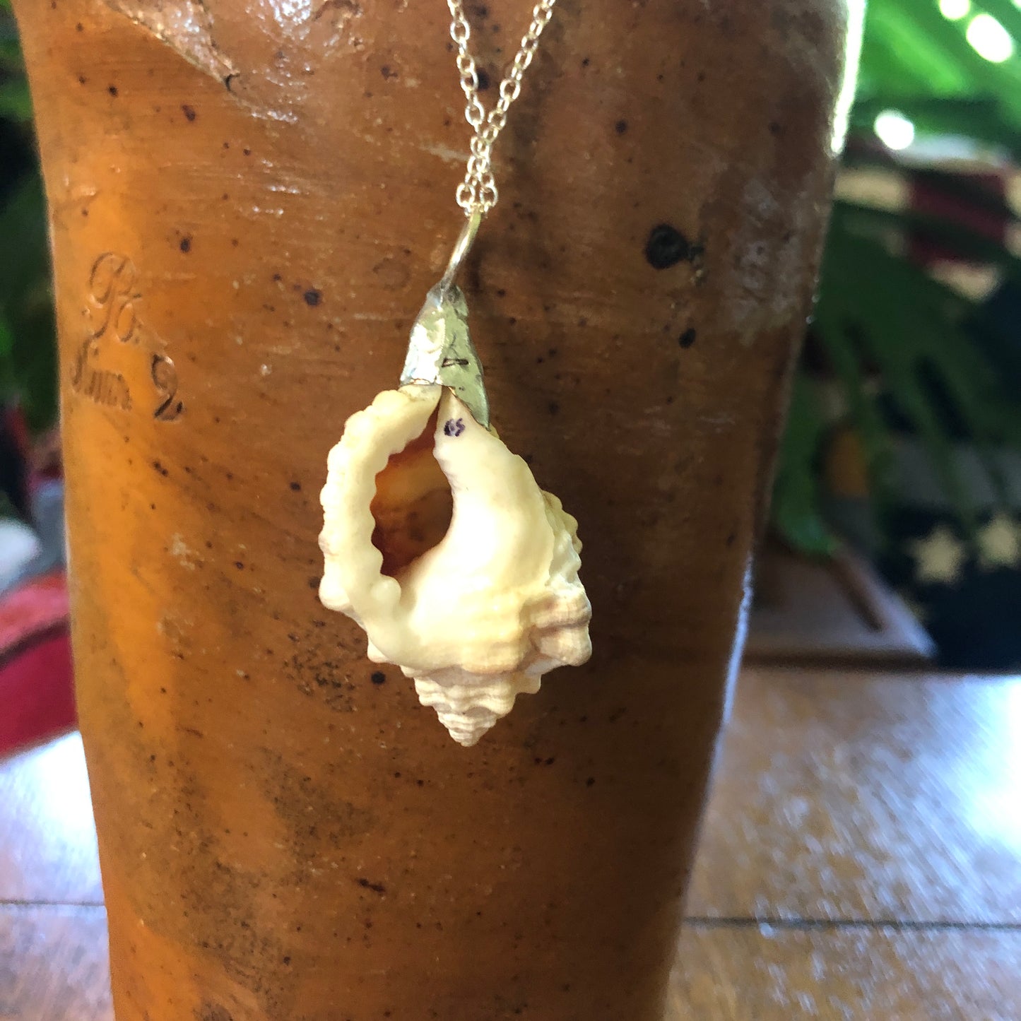 Apple Murex Artisan Made Pendent Handcrafted Sea Shell Necklace 1.75 in x 1 in