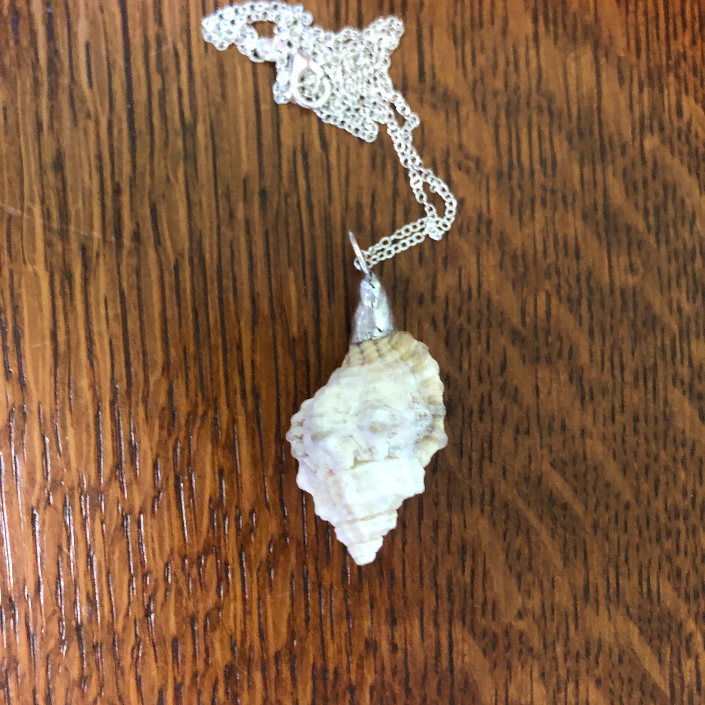 Apple Murex Artisan Made Pendent Handcrafted Sea Shell Necklace 1.75 in x 1 in