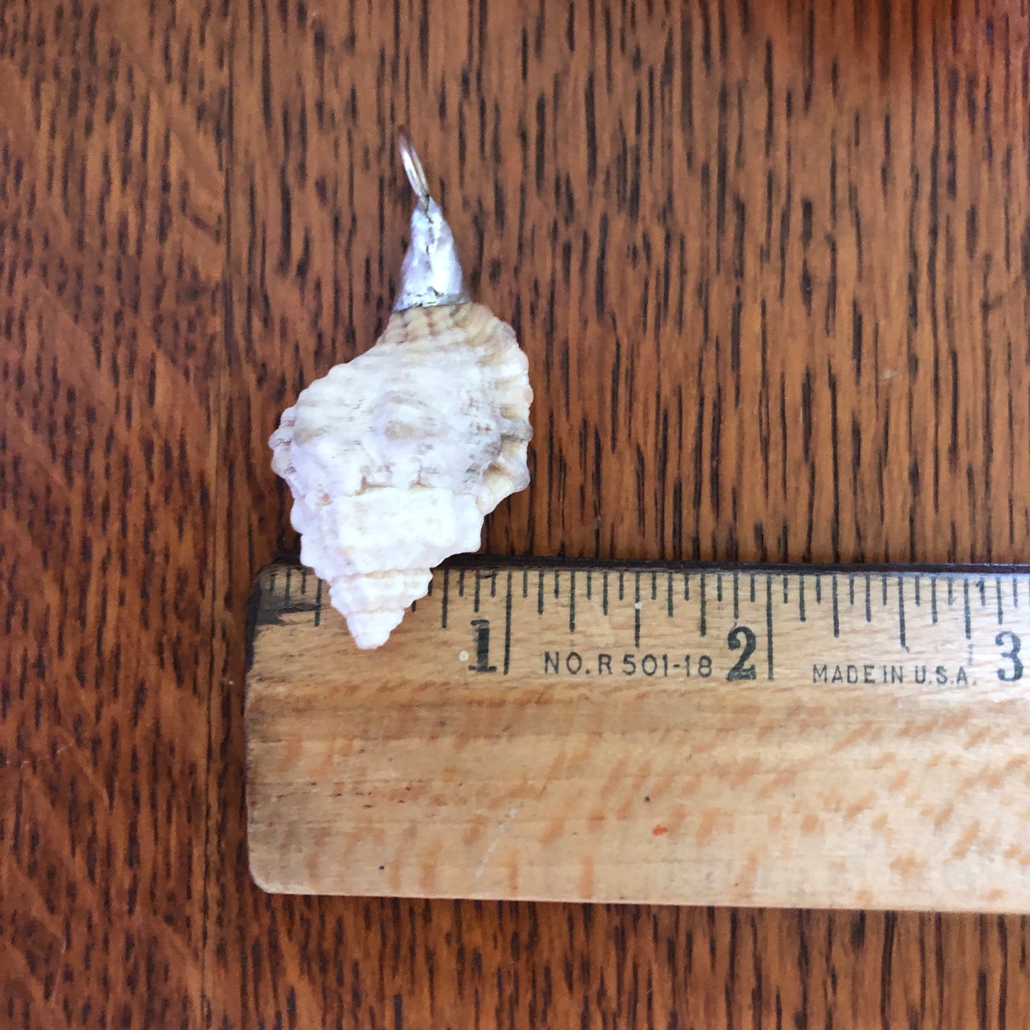 Apple Murex Artisan Made Pendent Handcrafted Sea Shell Necklace 1.75 in x 1 in
