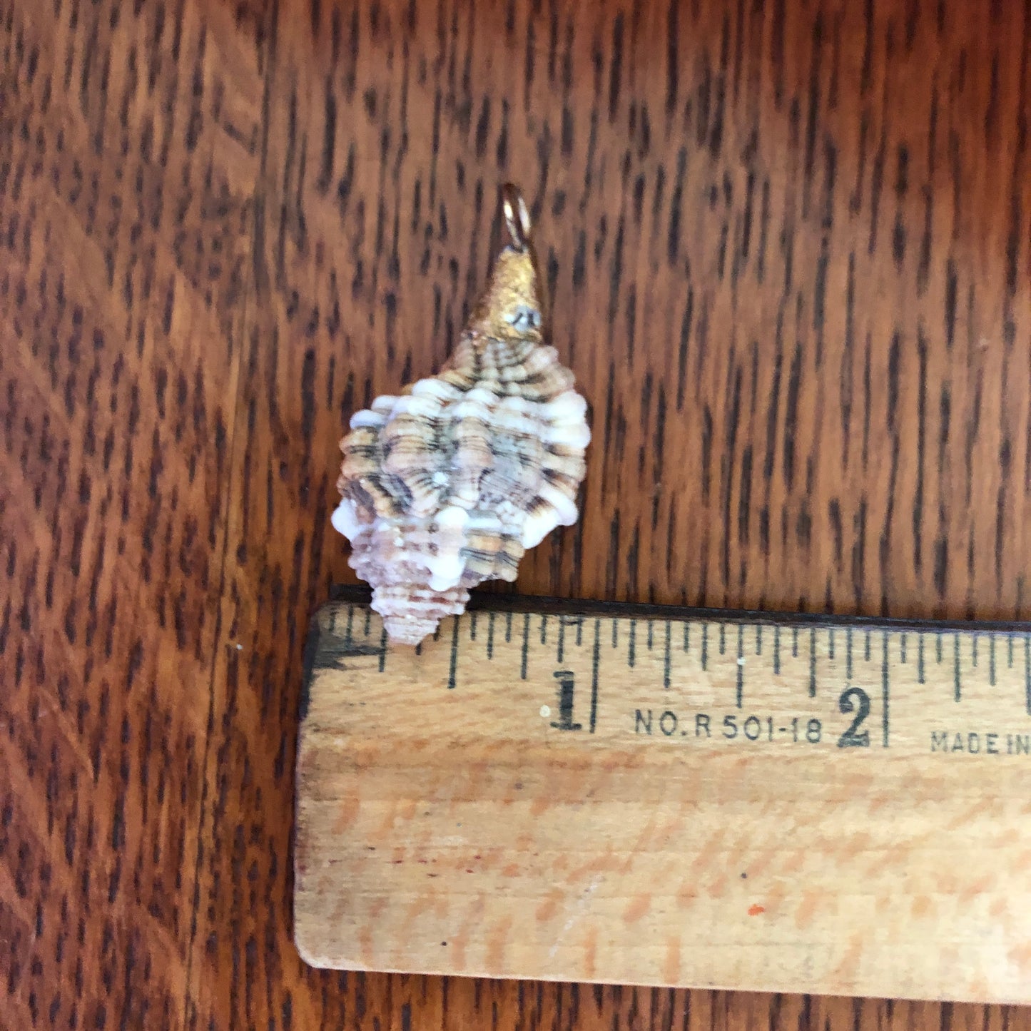 Murex Artisan Made Pendent Handcrafted Sea Shell Necklace 7/8 in x 1.5 in