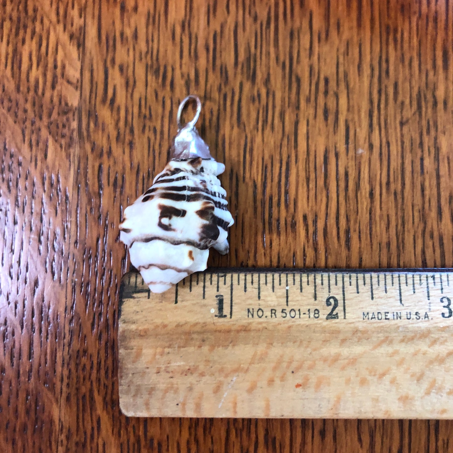 Murex Artisan Made Pendent Handcrafted Sea Shell Necklace 1 in x 1.5 in