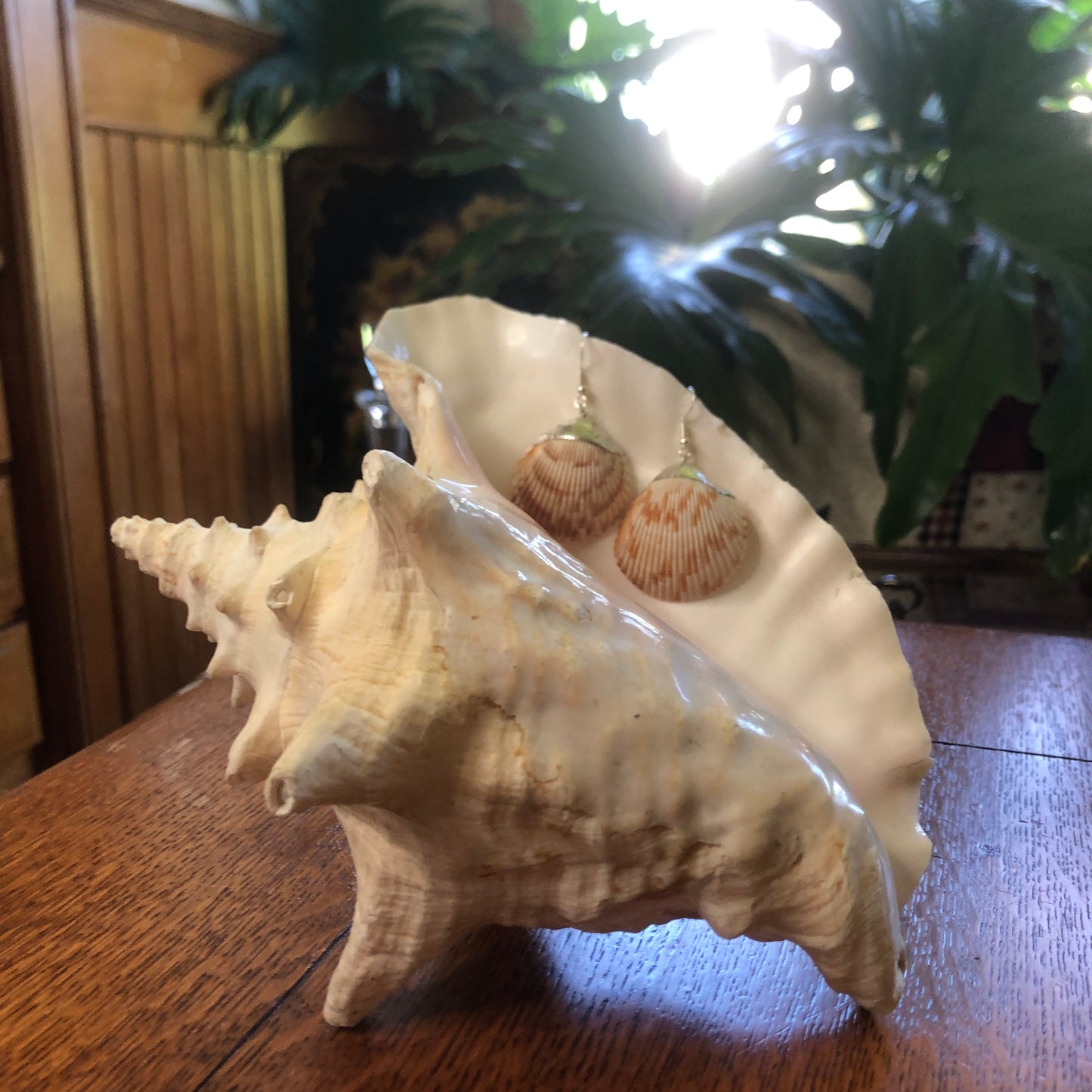 Gorgeous Scallop Shell Artisan Made Earrings Handcrafted Sea Shell Dangle Earrings