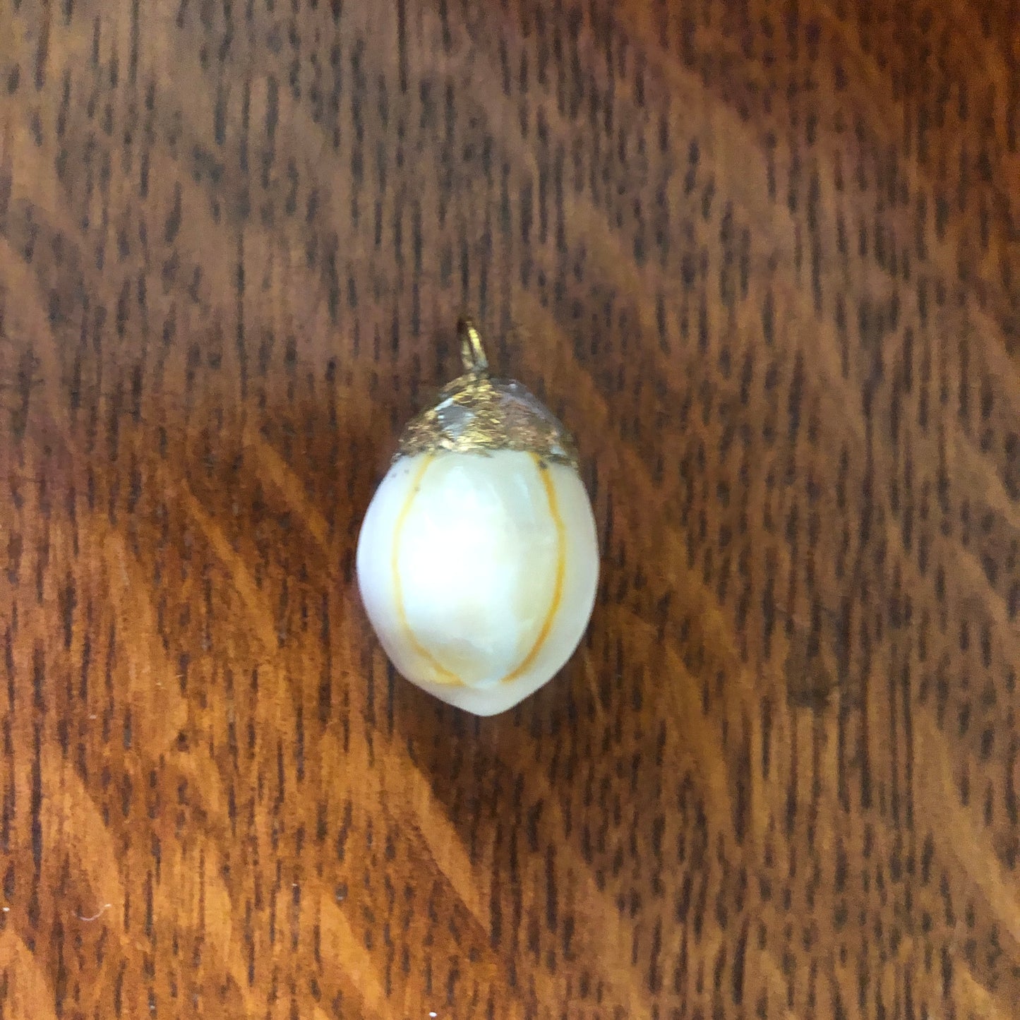 Atlantic Yellow Cowry Artisan Made Pendent Handcrafted Sea Shell Necklace 3/4 in x 1 in