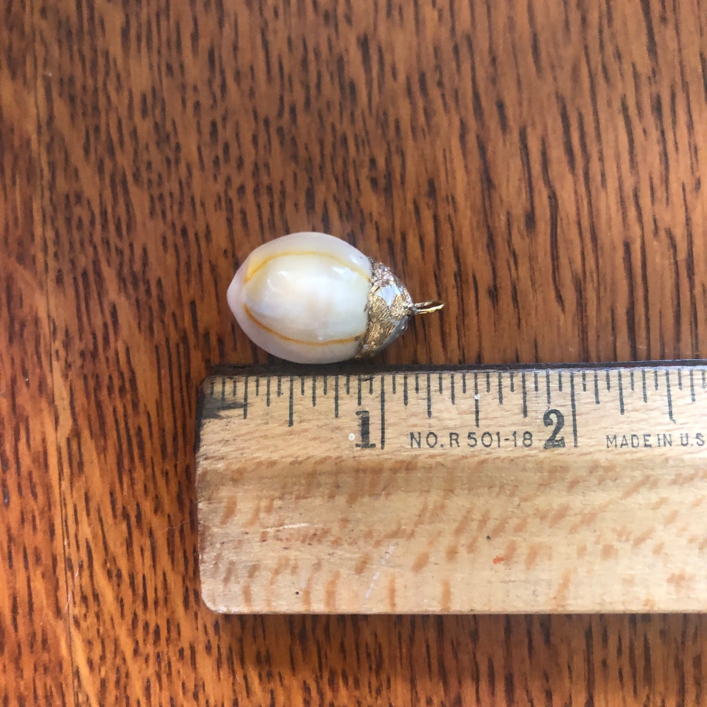 Atlantic Yellow Cowry Artisan Made Pendent Handcrafted Sea Shell Necklace 3/4 in x 1 in