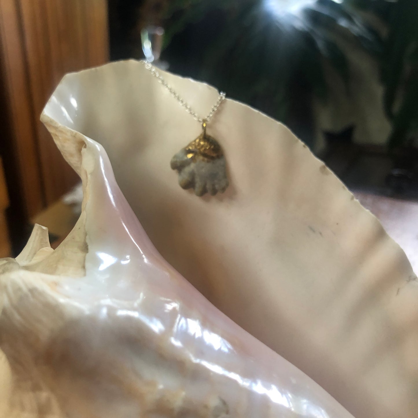 Kitten's Paw Artisan Made Pendent Handcrafted Sea Shell Necklace 1 in x 1 in