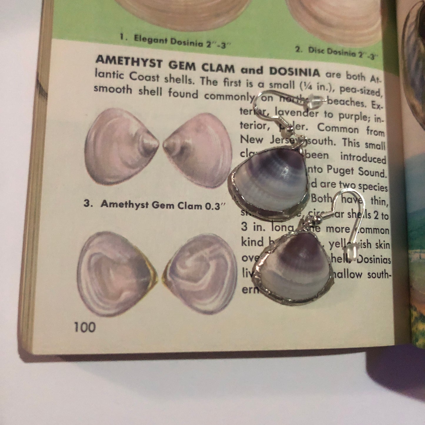 Amethyst Gem Clam Artisan Made Earrings Handcrafted Purple Sea Shell Dangle Earrings