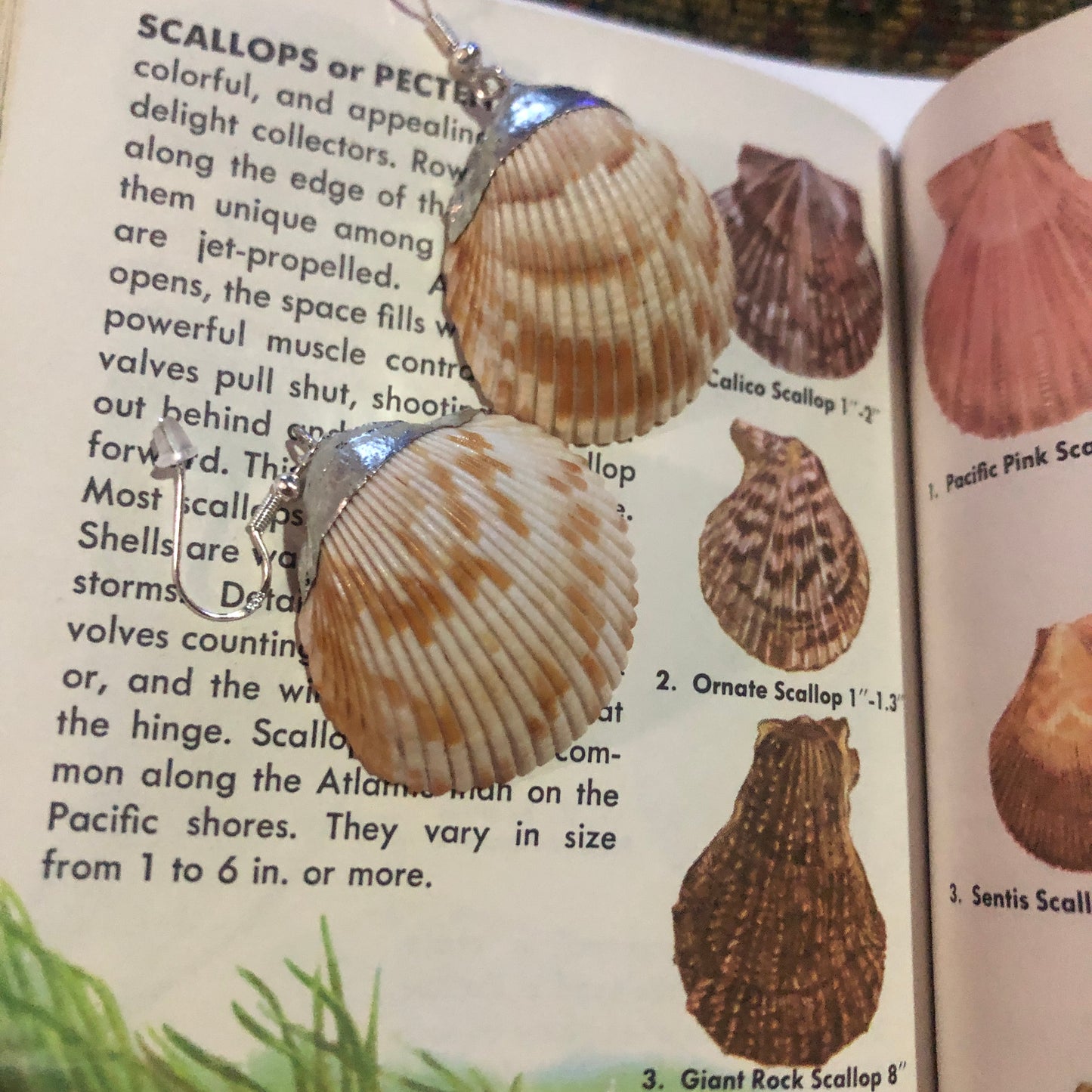 Gorgeous Scallop Shell Artisan Made Earrings Handcrafted Sea Shell Dangle Earrings