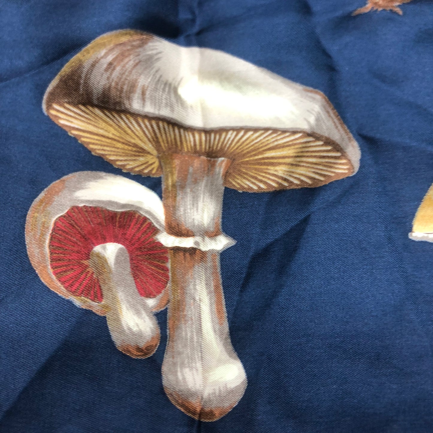 Echo 100% Silk Mushroom Scarf