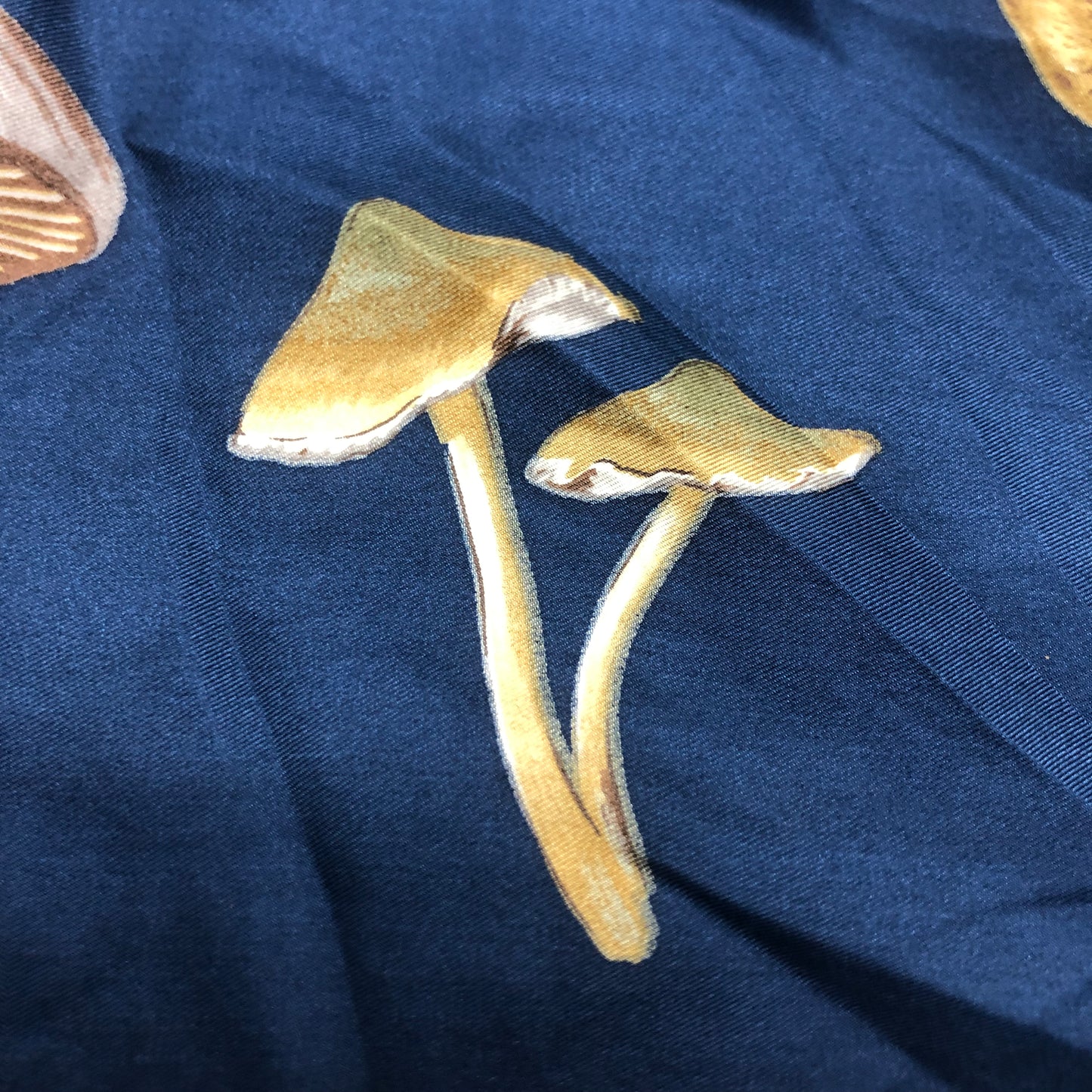 Echo 100% Silk Mushroom Scarf