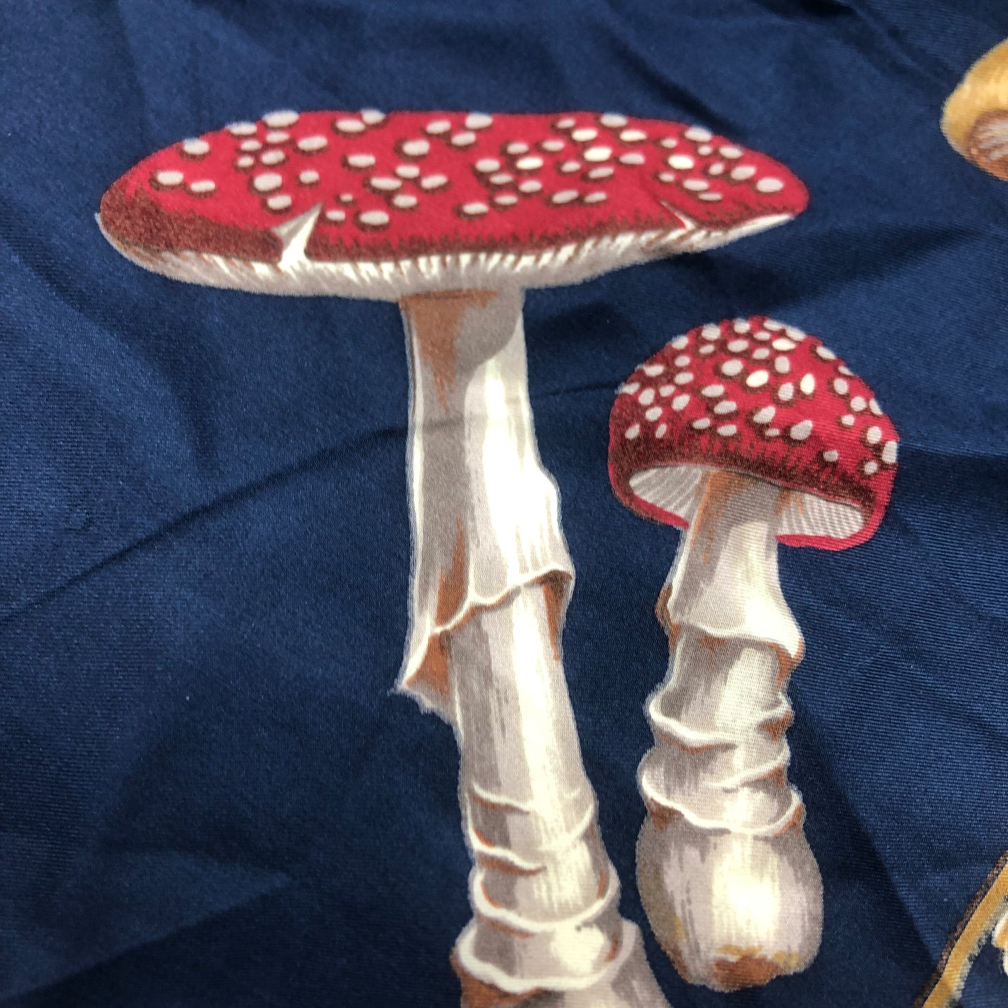 Echo 100% Silk Mushroom Scarf