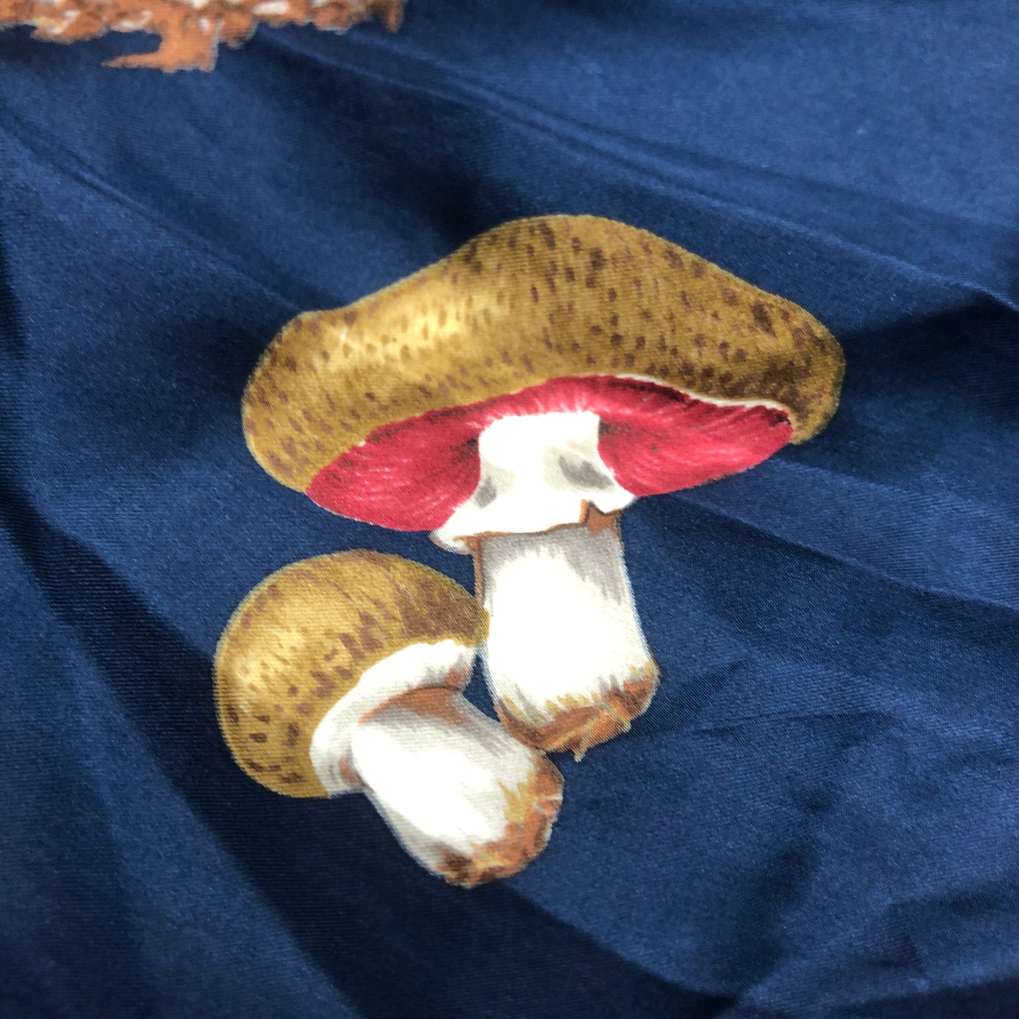 Echo 100% Silk Mushroom Scarf