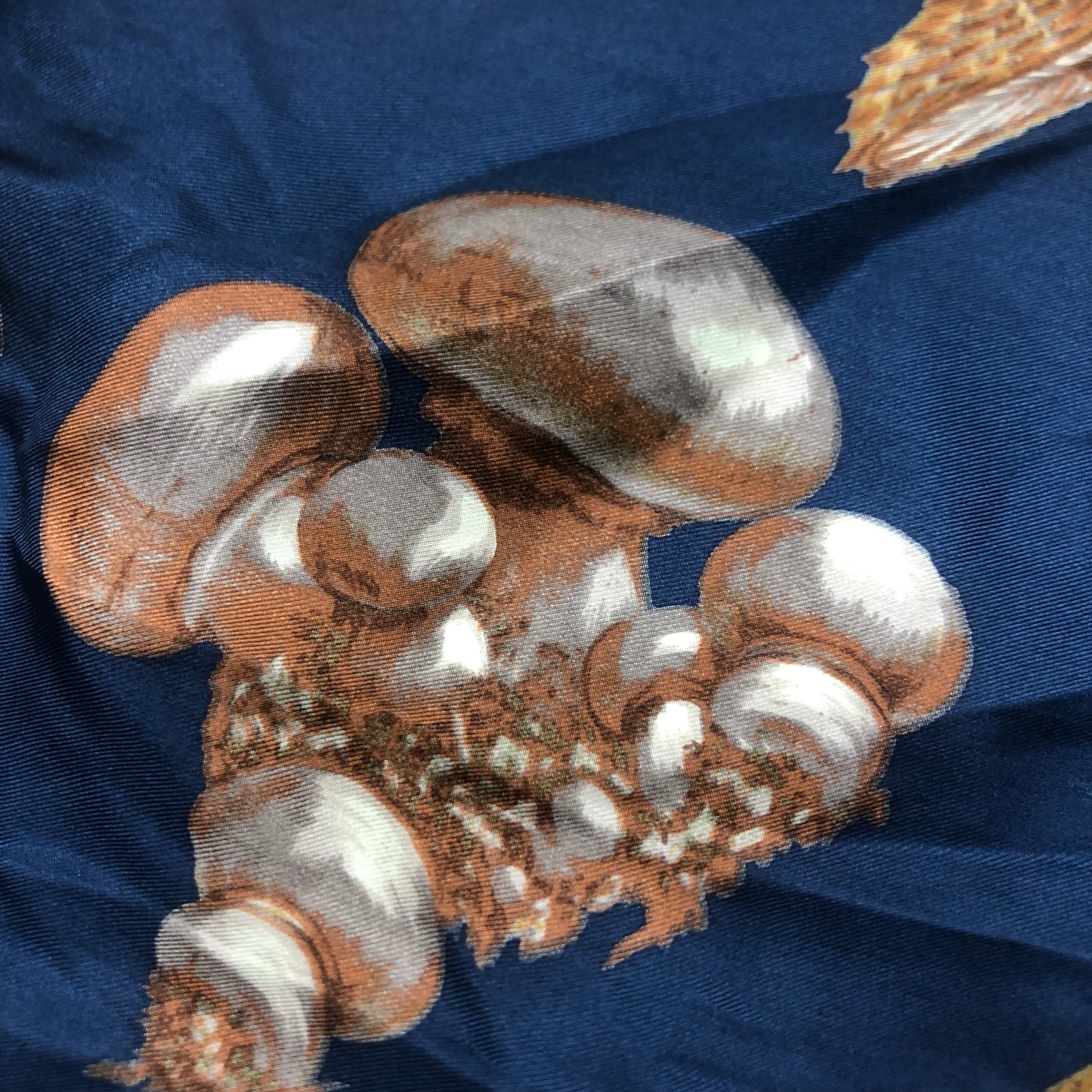 Echo 100% Silk Mushroom Scarf