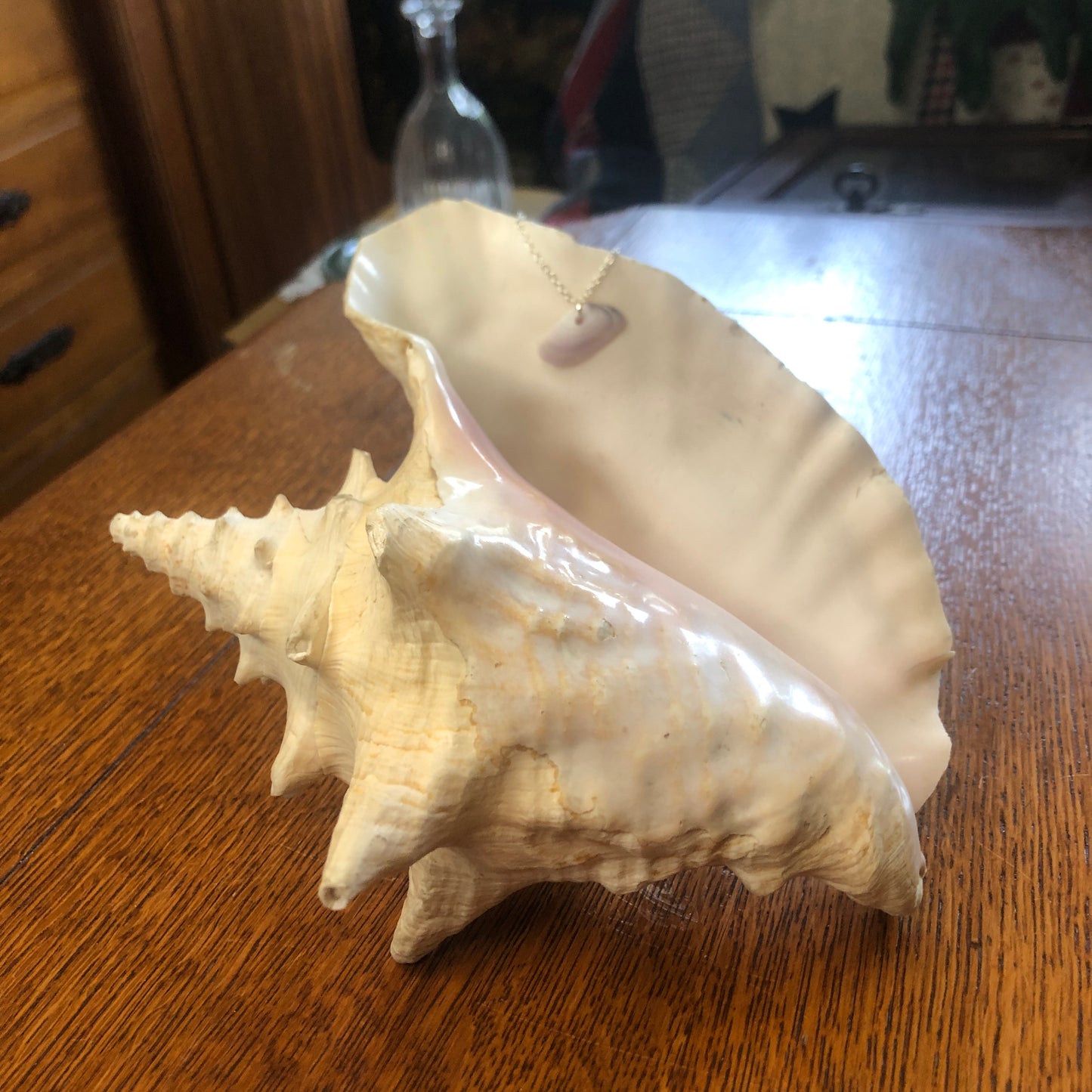 Tellin Artisan Made Pendent Handcrafted Sea Shell Necklace 1 in x 1/2 in Mermaid Jewelry