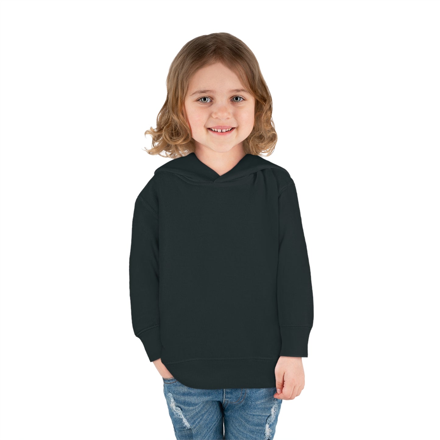 Link's Martial Arts Toddler Pullover Fleece Logo Hoodie