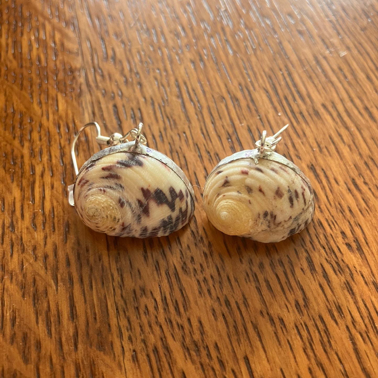 Nerite Artisan Made Earrings Handcrafted Sea Shell Dangle Earrings