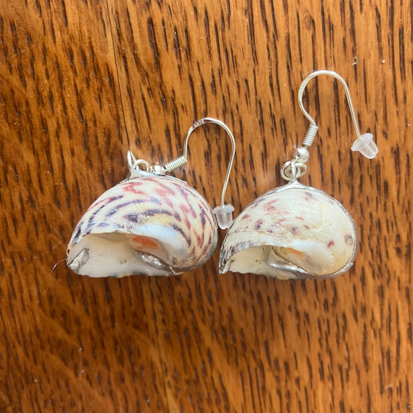Nerite Artisan Made Earrings Handcrafted Sea Shell Dangle Earrings