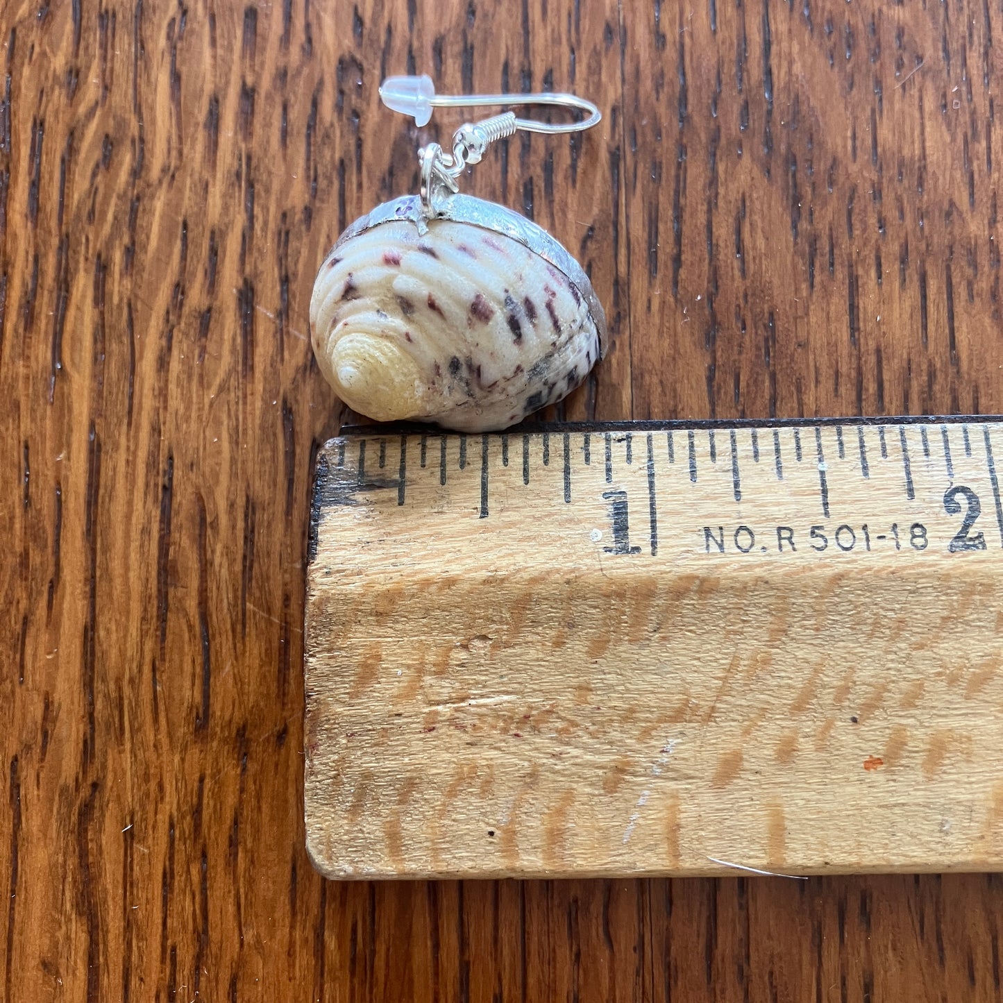 Nerite Artisan Made Earrings Handcrafted Sea Shell Dangle Earrings