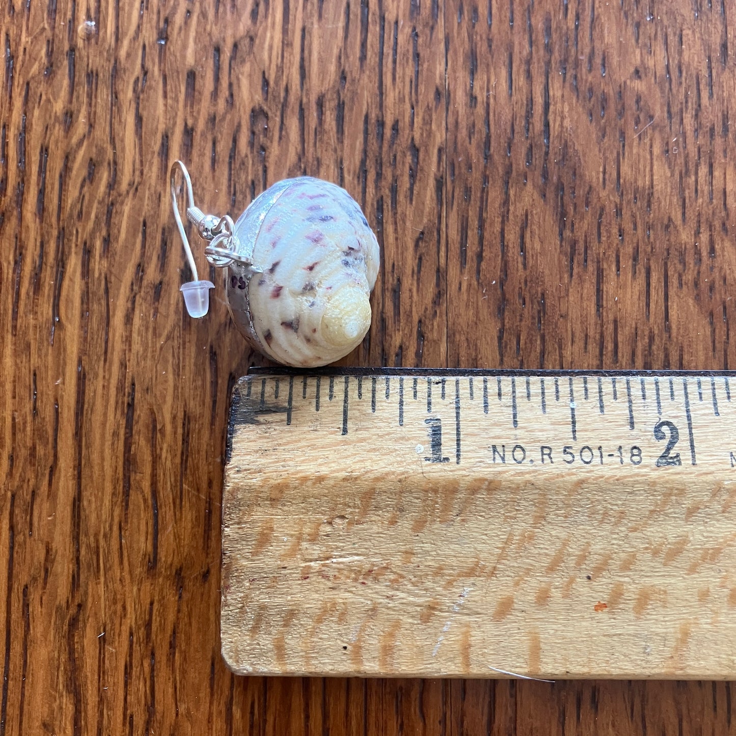 Nerite Artisan Made Earrings Handcrafted Sea Shell Dangle Earrings