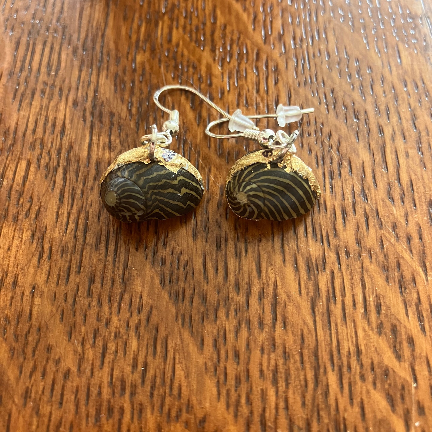 Zebra Nerite Snail Artisan Made Earrings Handcrafted Sea Shell Dangle Earrings