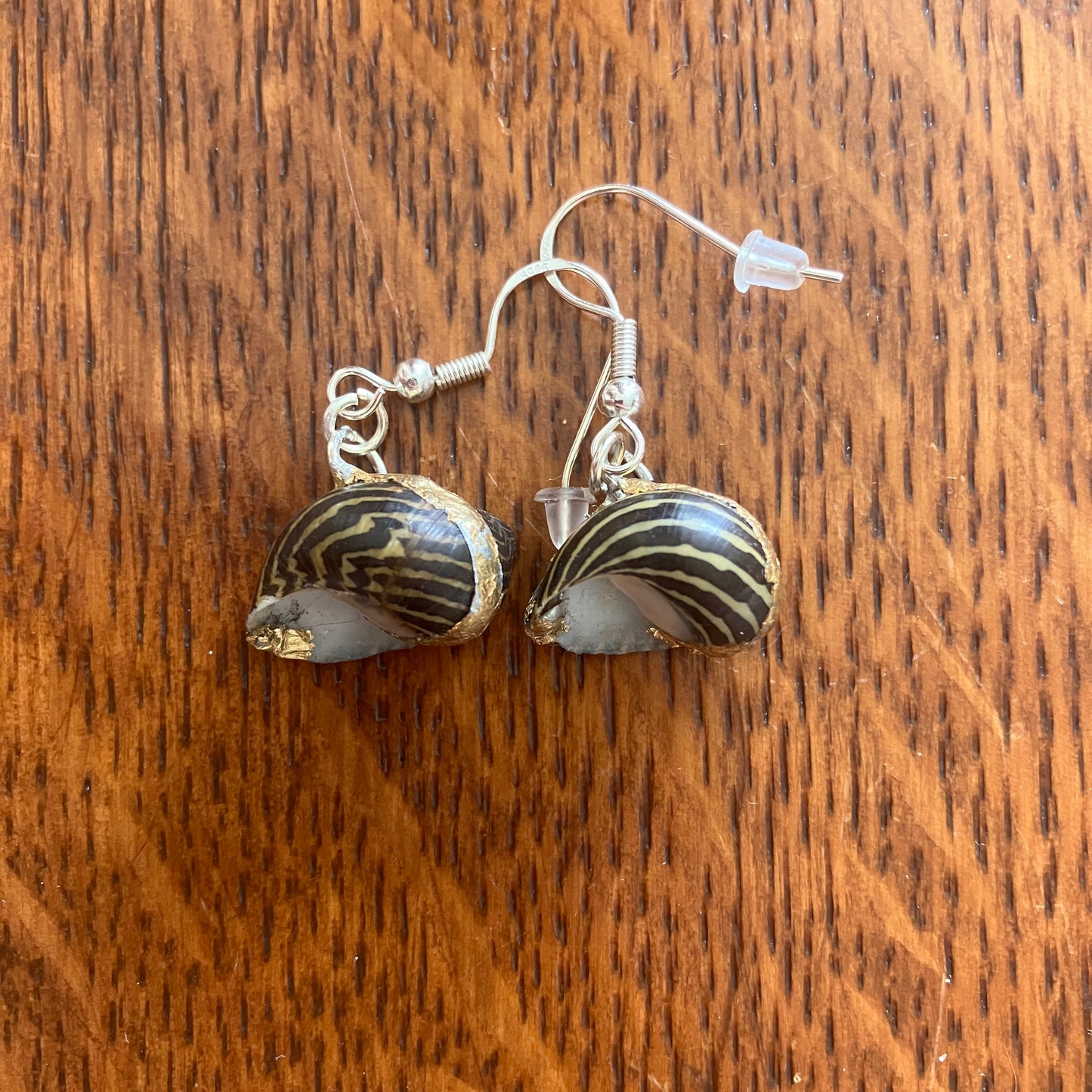 Zebra Nerite Snail Artisan Made Earrings Handcrafted Sea Shell Dangle Earrings