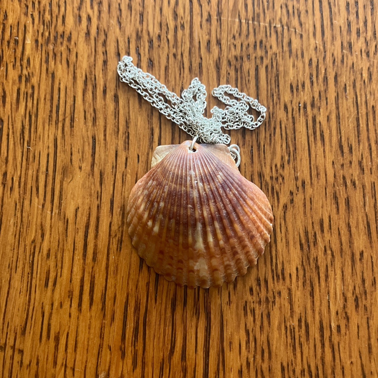 Lion's Paw Scallop Artisan Made Pendant Handcrafted Sea Shell Necklace 1 3/8in x 1 3/8in Mermaid Jewelry