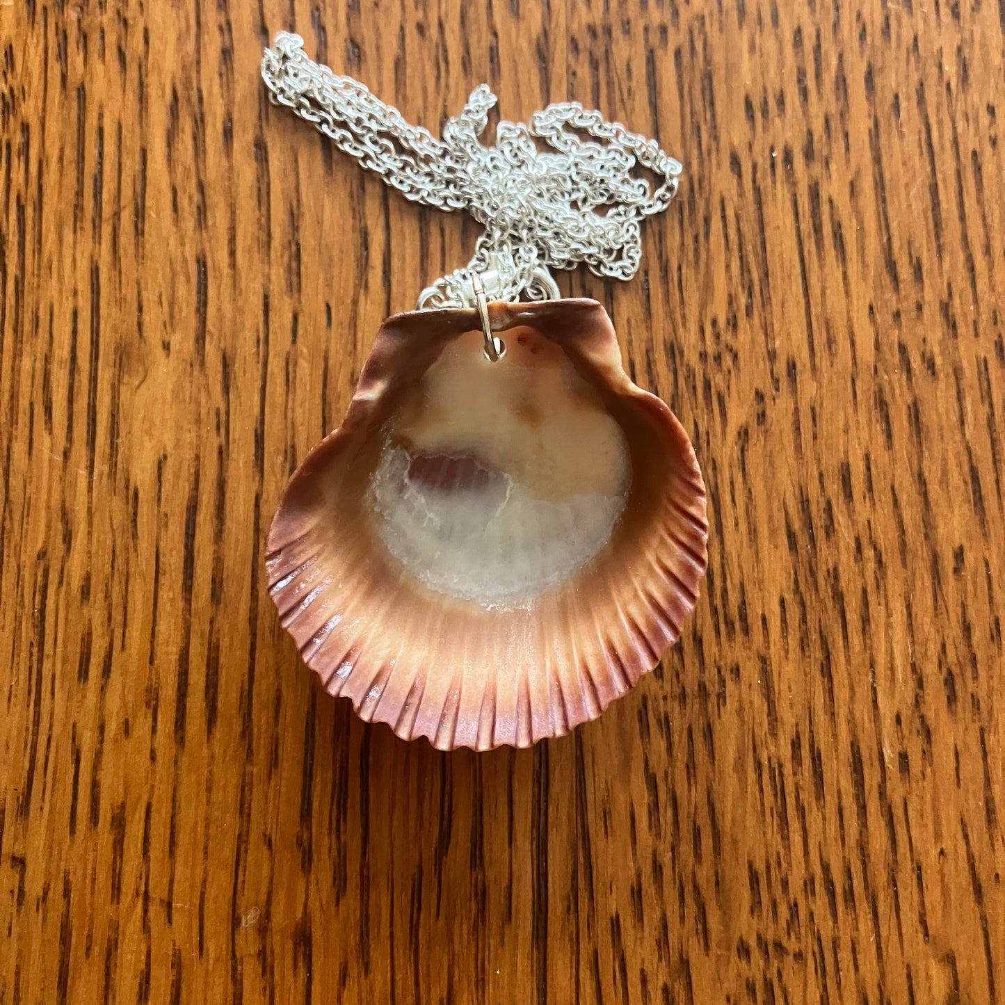 Lion's Paw Scallop Artisan Made Pendant Handcrafted Sea Shell Necklace 1 3/8in x 1 3/8in Mermaid Jewelry