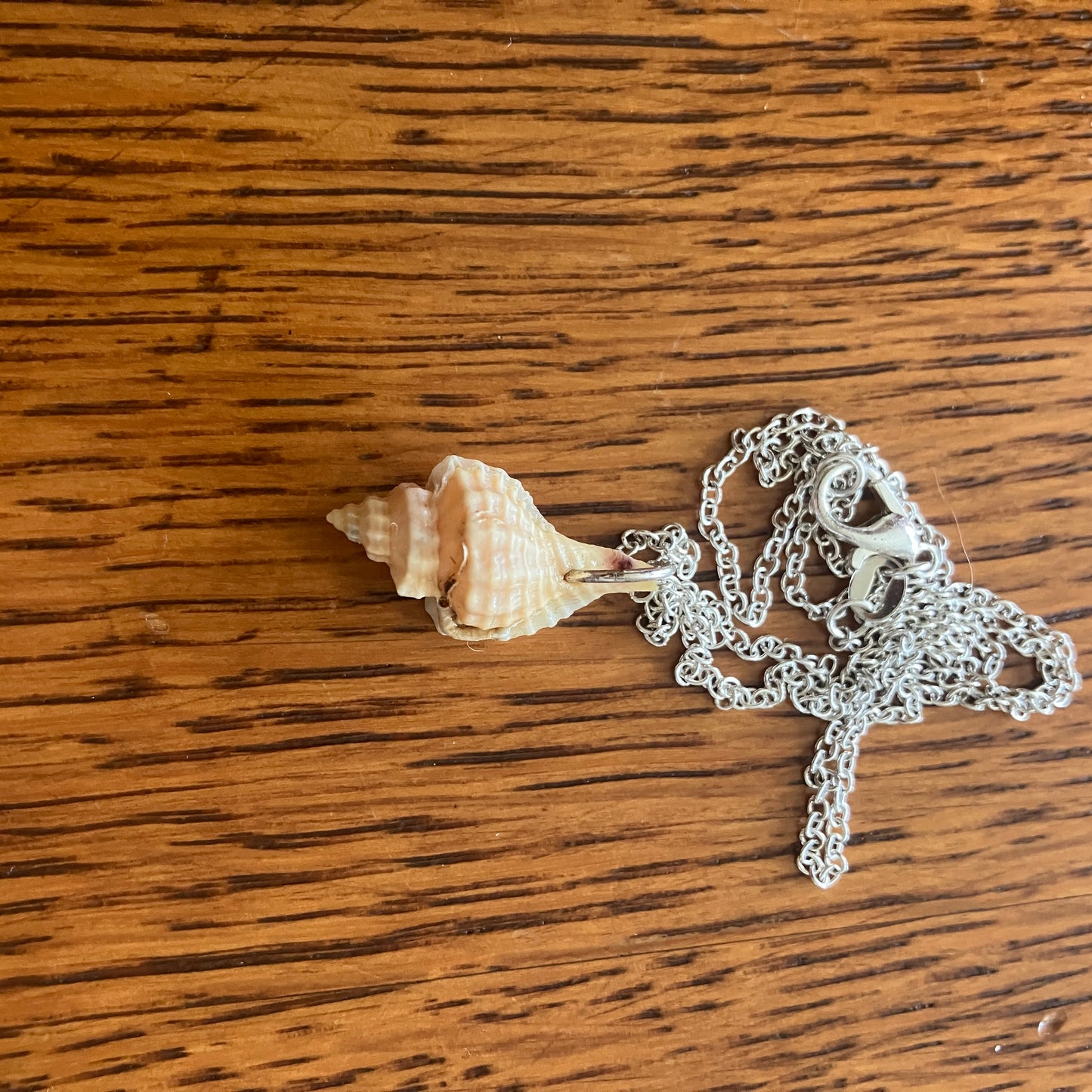 Sea Sell Artisan Made Pendant Handcrafted Sea Shell Necklace 1/2in x 7/8in Mermaid Jewelry