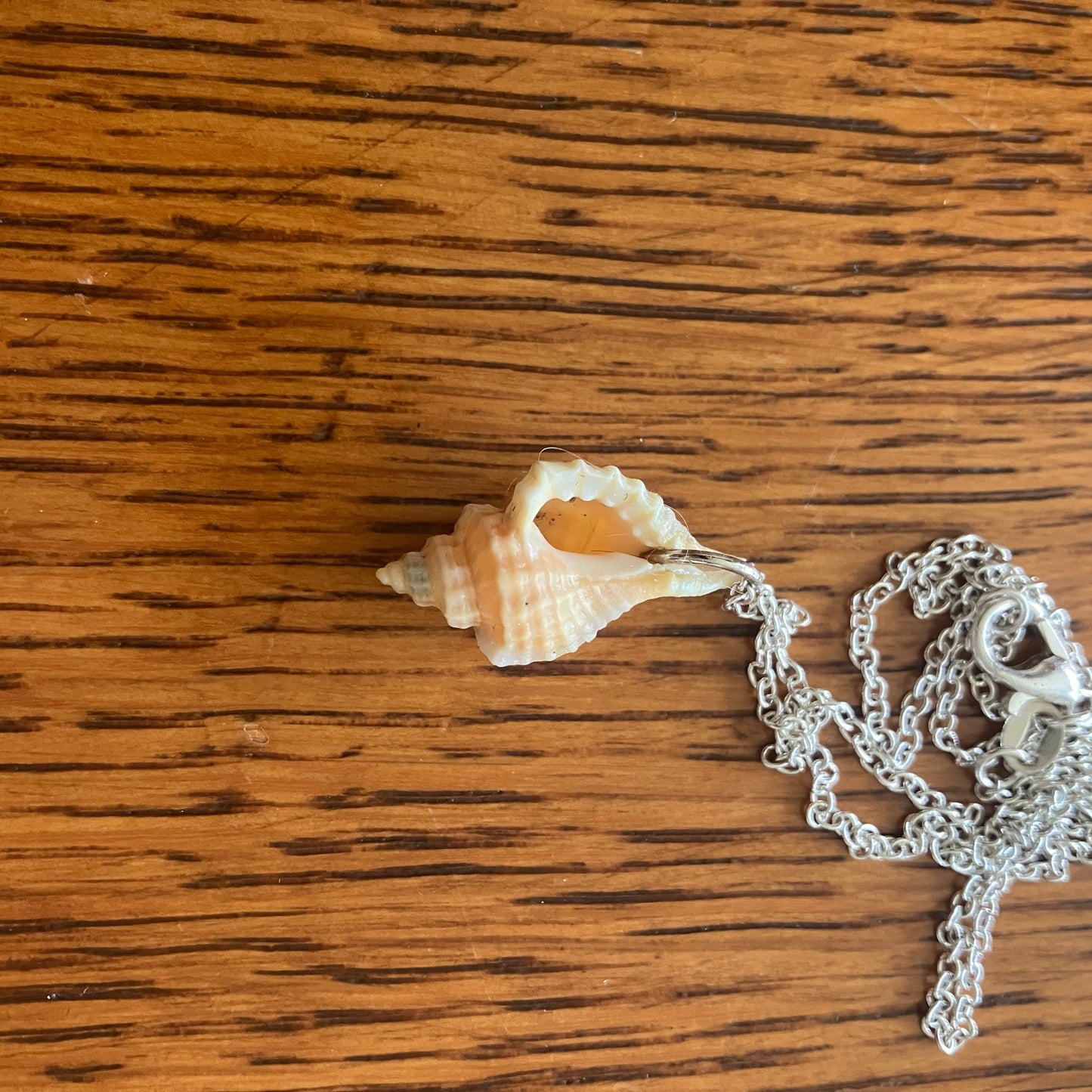 Sea Sell Artisan Made Pendant Handcrafted Sea Shell Necklace 1/2in x 7/8in Mermaid Jewelry