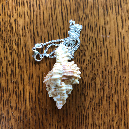 Murex Artisan Made Pendant Handcrafted Sea Shell Necklace 1 in x 2 in Mermaid Jewelry