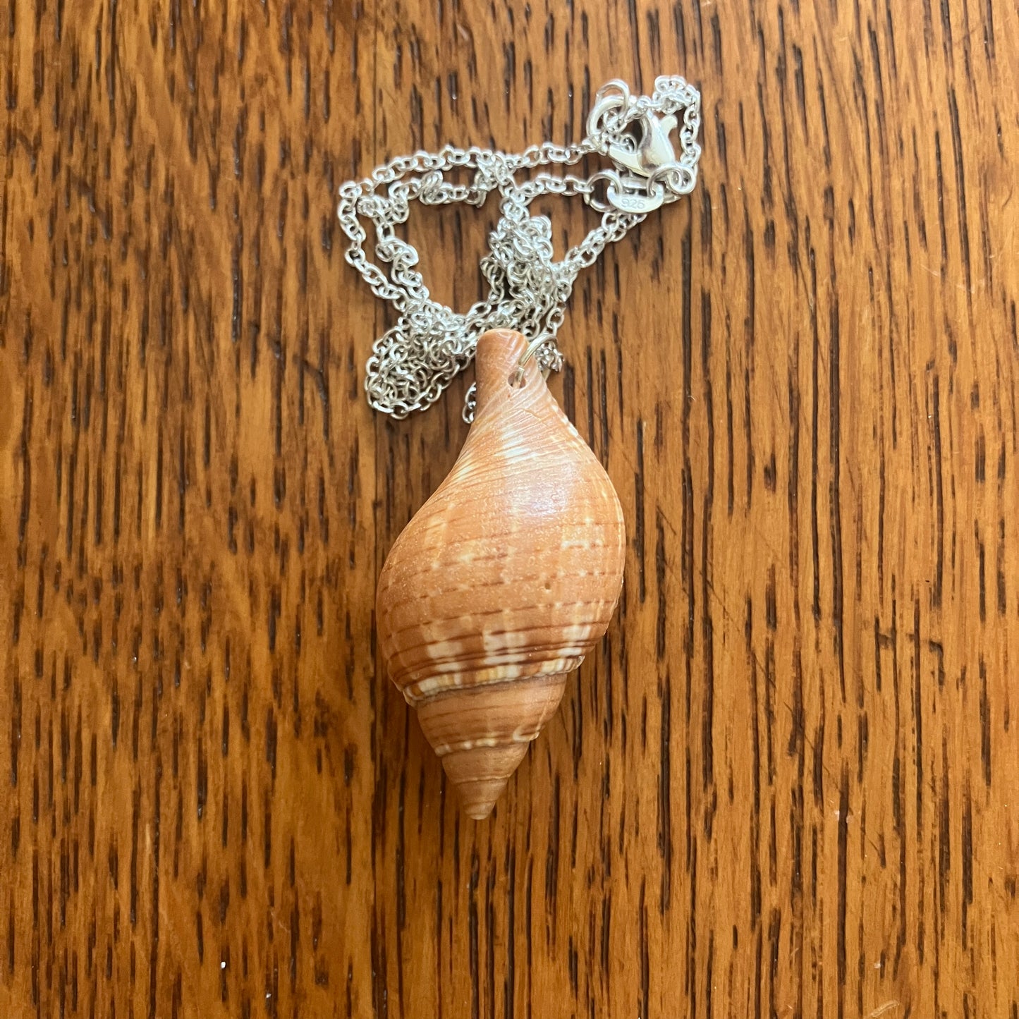 Tulip Shell Artisan Made Pendant Handcrafted Sea Shell Necklace 3/4in x 1 5/8in Mermaid Jewelry