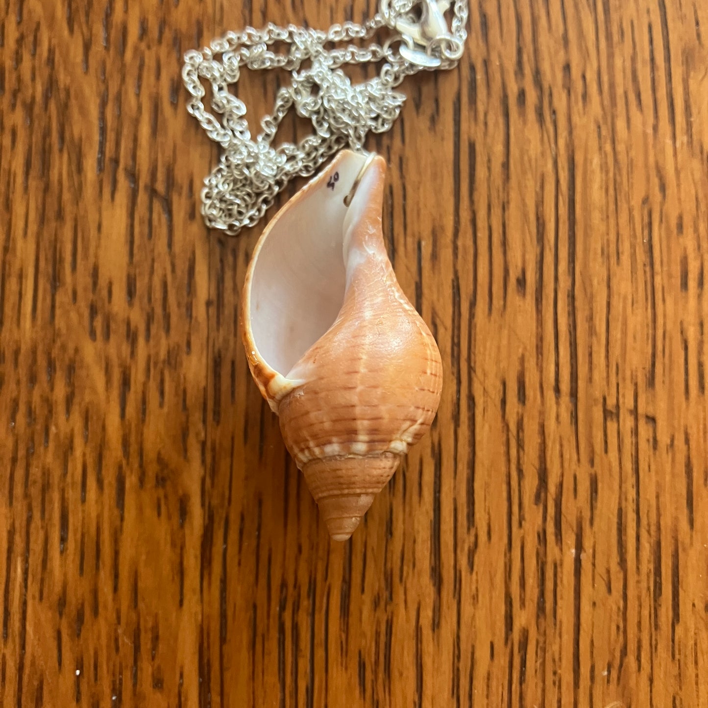 Tulip Shell Artisan Made Pendant Handcrafted Sea Shell Necklace 3/4in x 1 5/8in Mermaid Jewelry