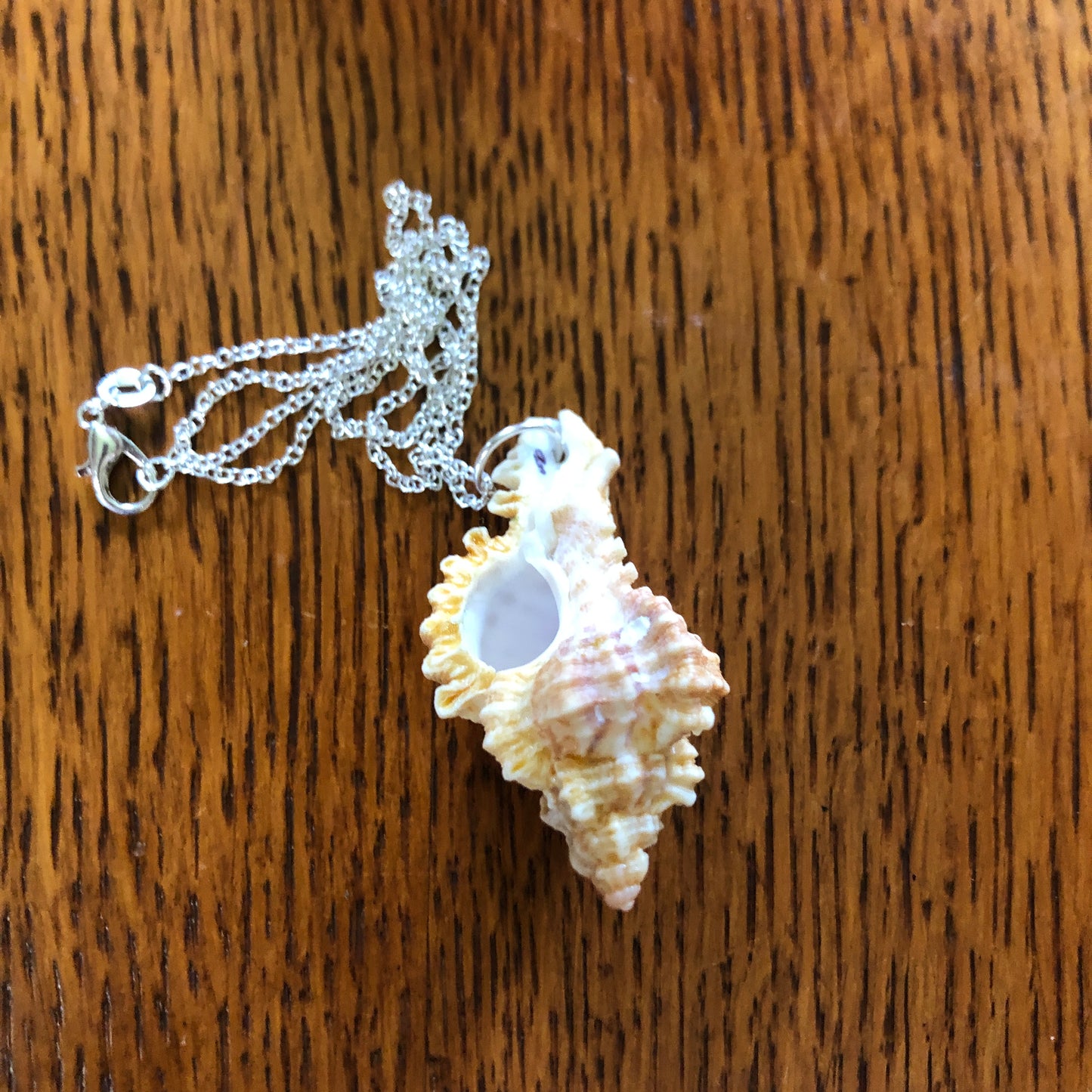 Murex Artisan Made Pendant Handcrafted Sea Shell Necklace 1 in x 2 in Mermaid Jewelry