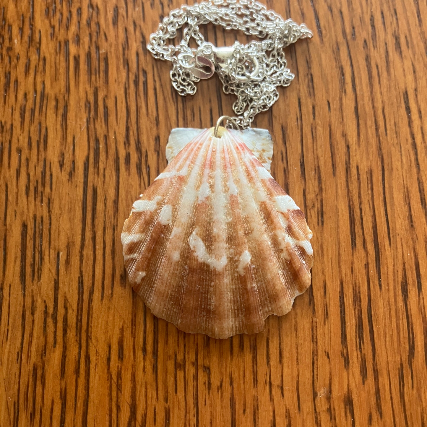 Scallop Shell Artisan Made Pendant Handcrafted Sea Shell Necklace 1 3/8in x 1.5in