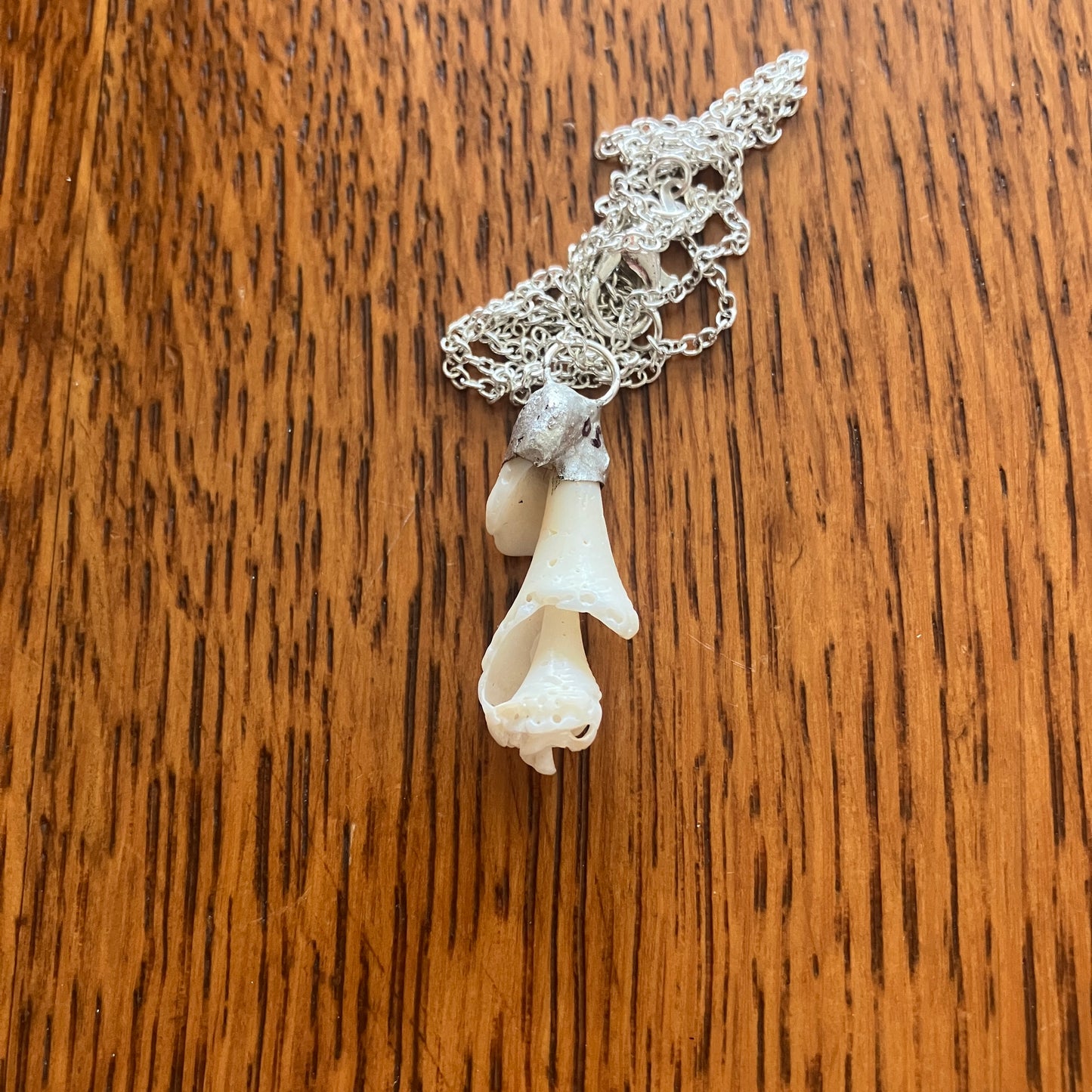 Sea Shell Spiral Artisan Made Pendant Handcrafted Sea Shell Necklace 3/8in x 1 1/8in