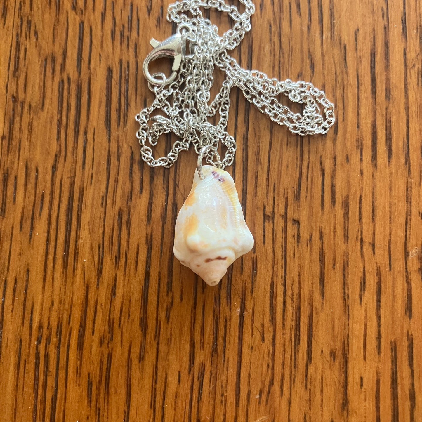Sea Sell Artisan Made Pendant Handcrafted Sea Shell Necklace 1/2 in x 3/4 in Mermaid Jewelry