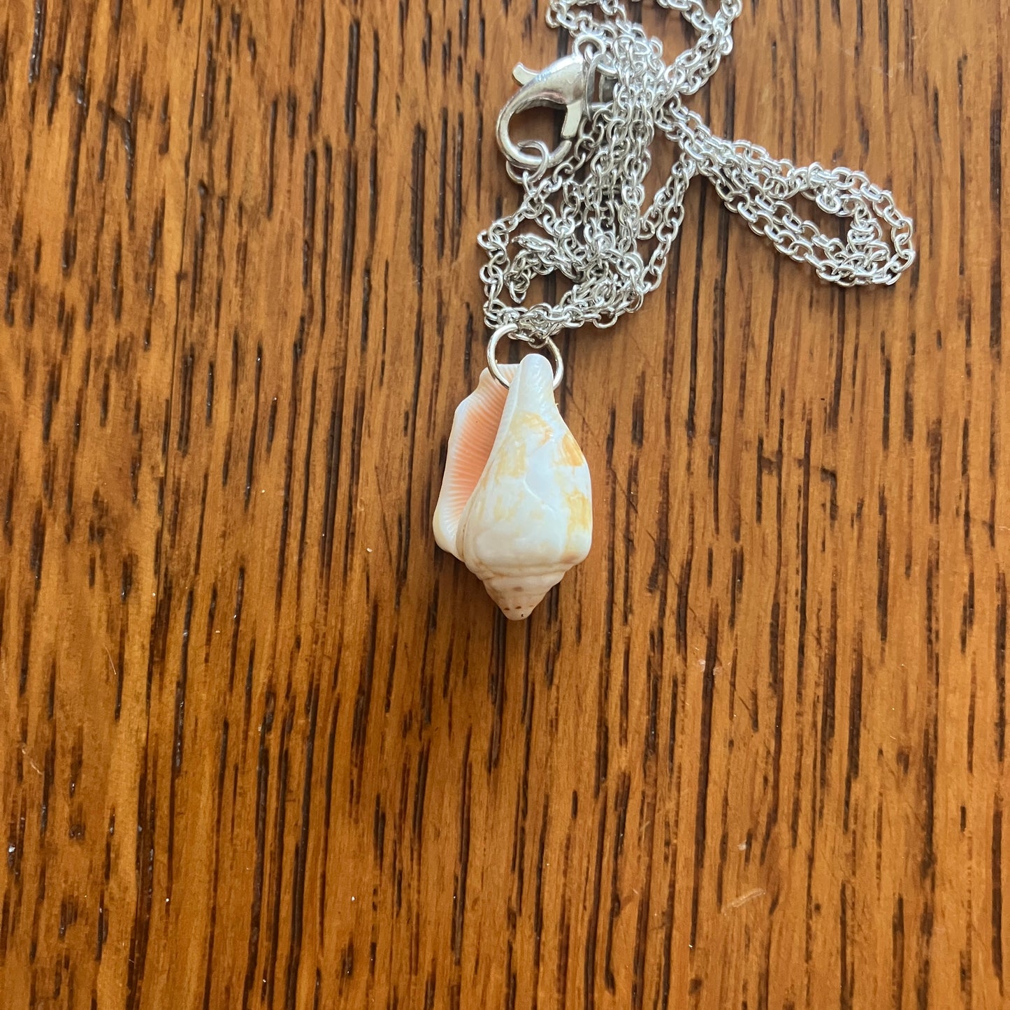 Sea Sell Artisan Made Pendant Handcrafted Sea Shell Necklace 1/2 in x 3/4 in Mermaid Jewelry