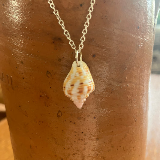 Sea Sell Artisan Made Pendant Handcrafted Sea Shell Necklace 1/2 in x 3/4 in Mermaid Jewelry