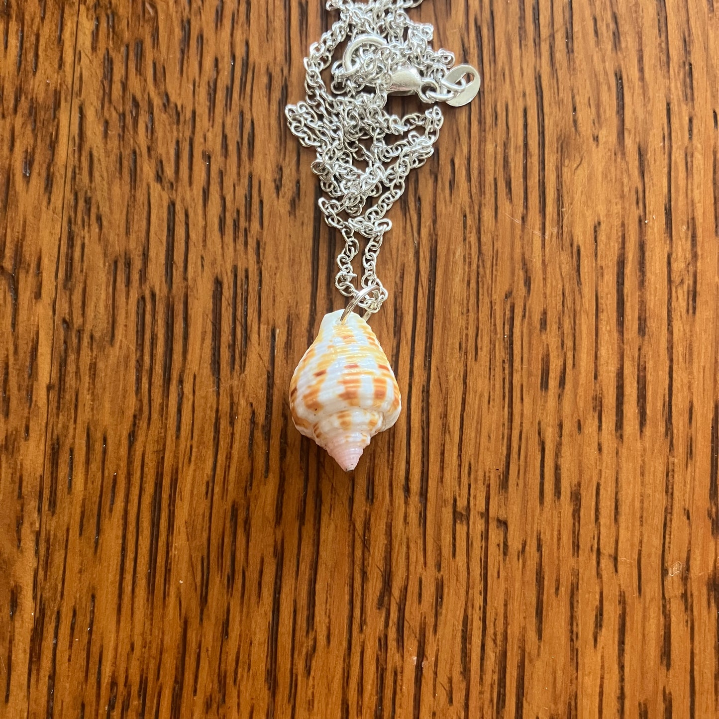 Sea Sell Artisan Made Pendant Handcrafted Sea Shell Necklace 1/2 in x 3/4 in Mermaid Jewelry